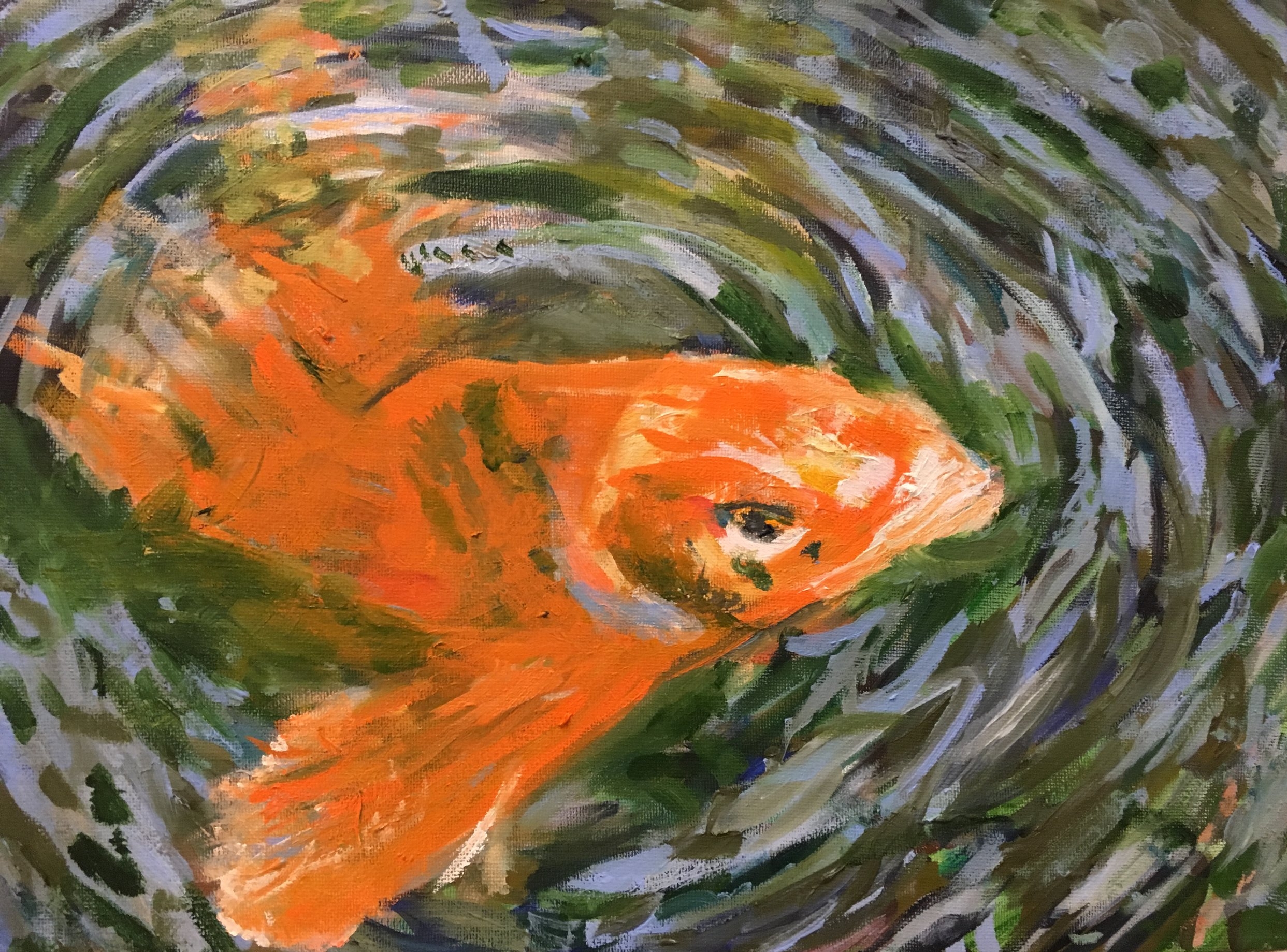 Fish in Pond