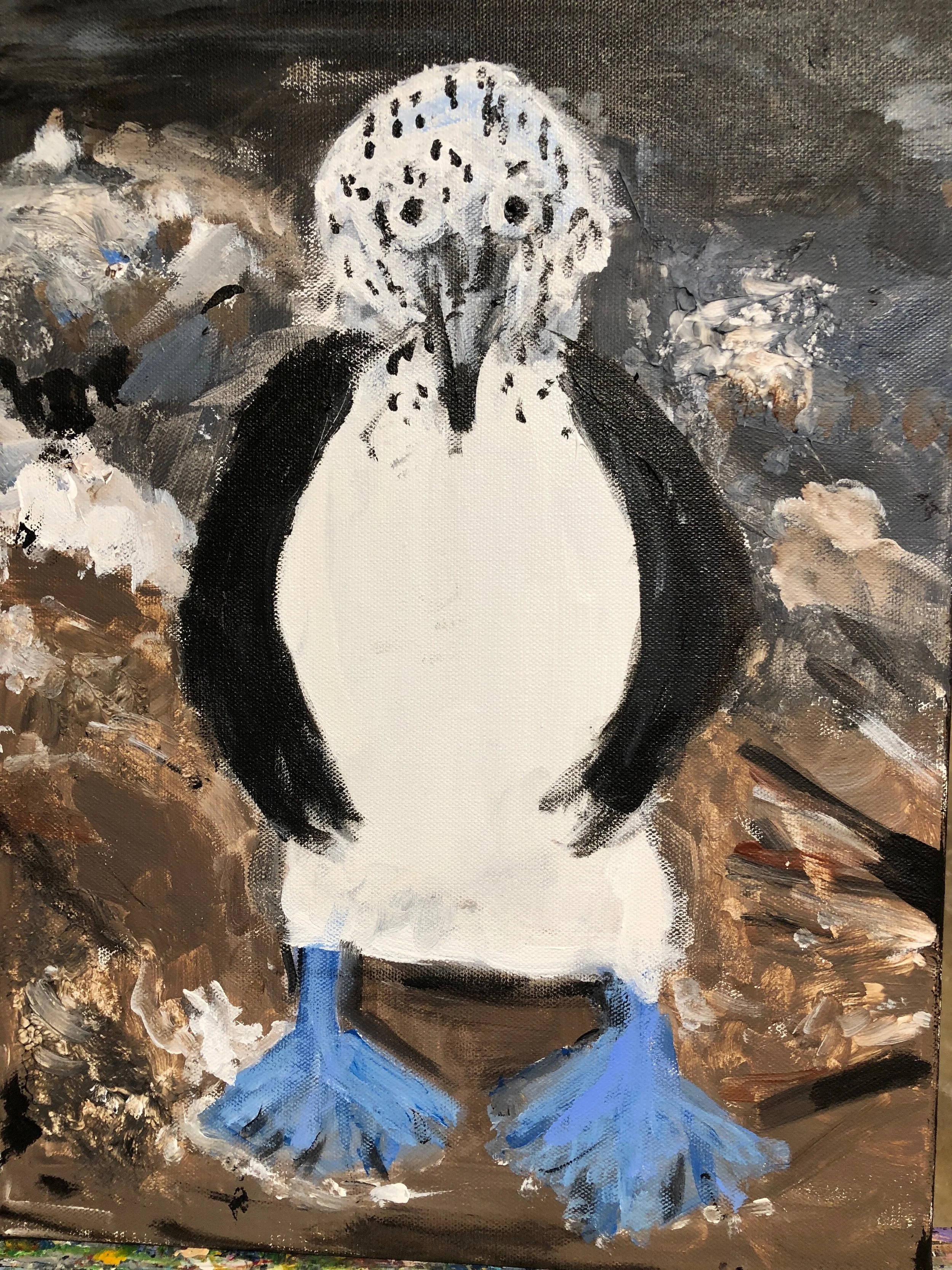 Blue Footed Booby