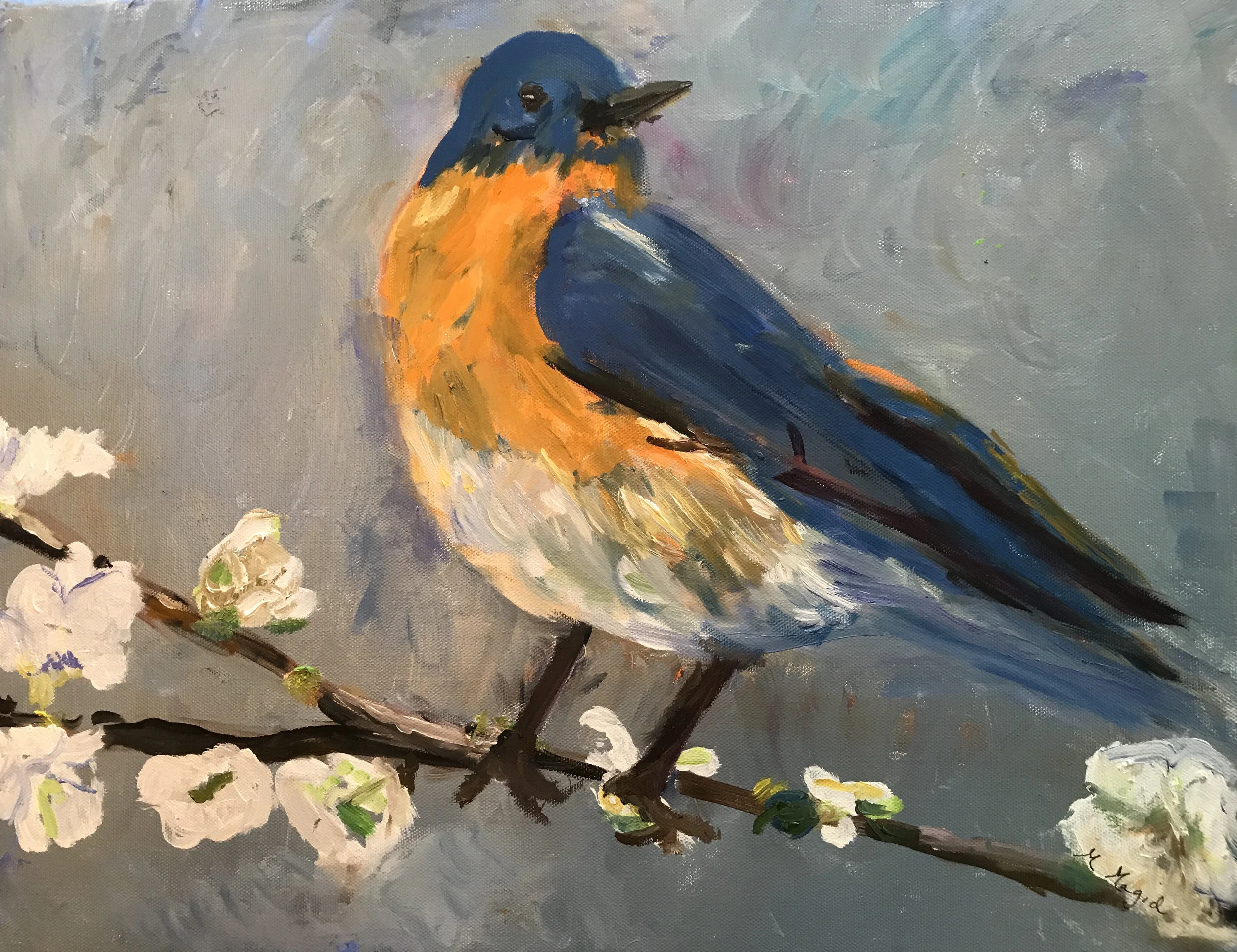 Bluebird on Branch