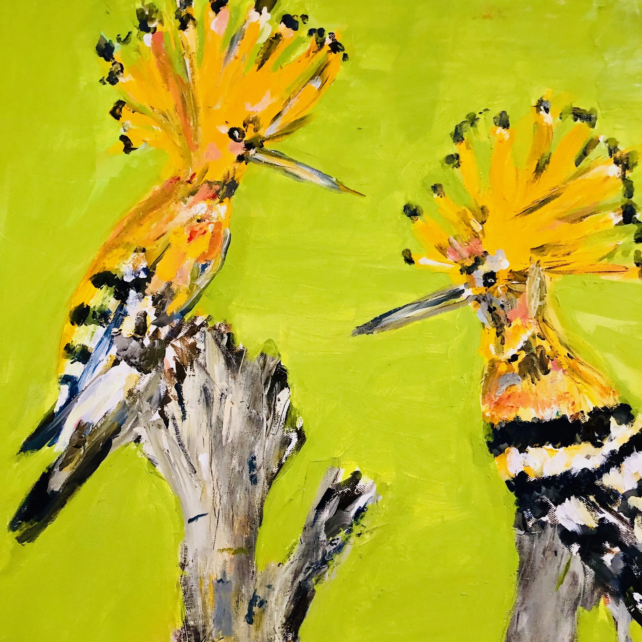 Two Hoopoes Resting