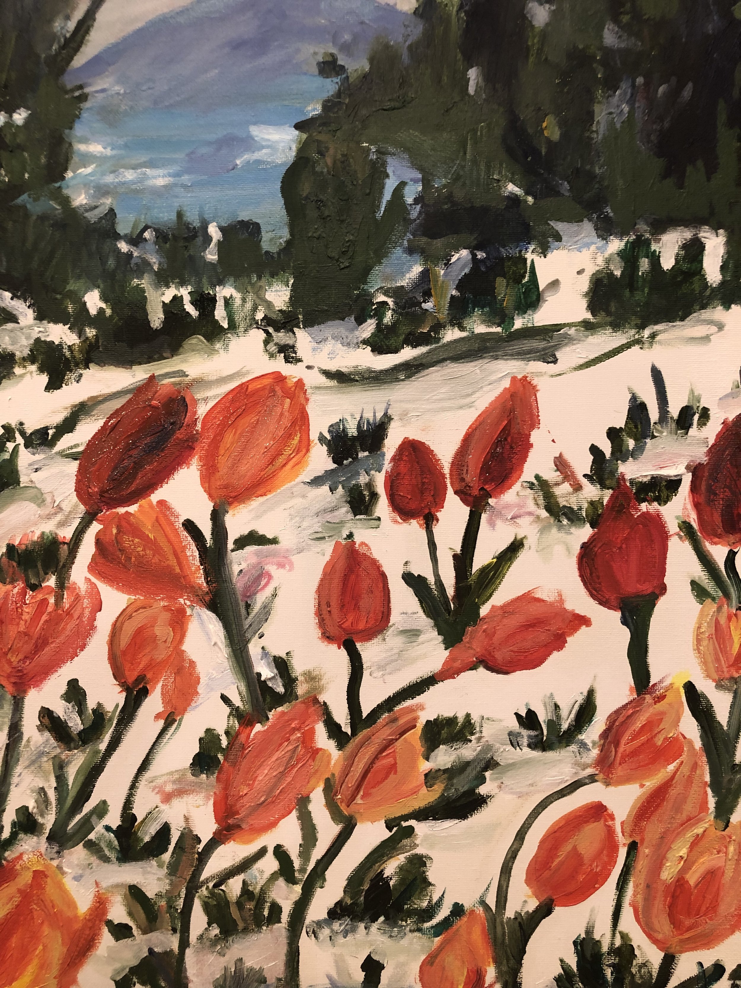 Tulips in the Snow