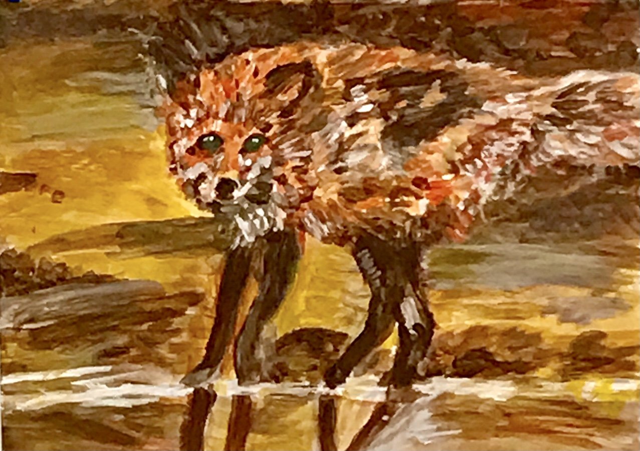 The Fox