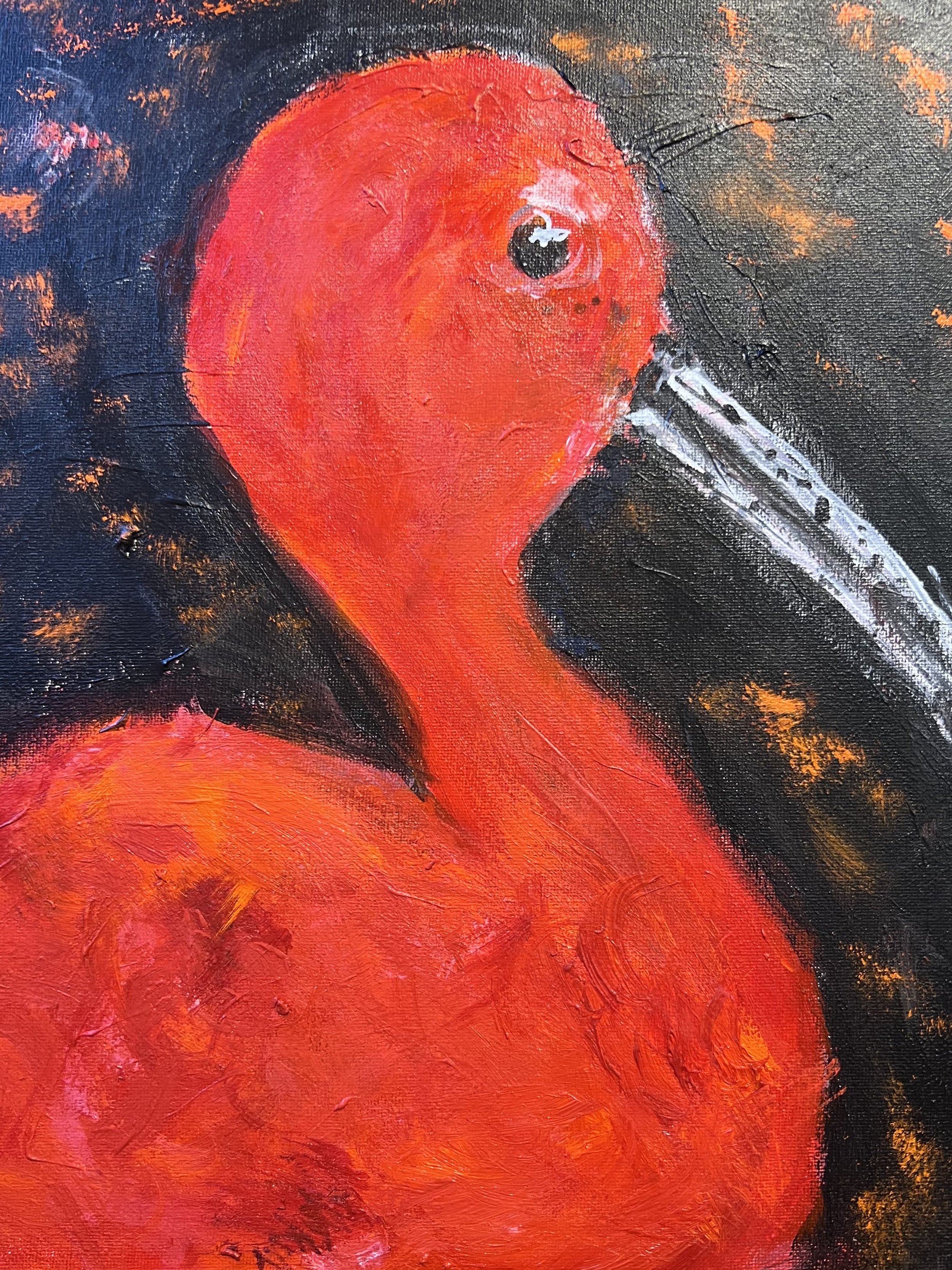 Scarlet Ibis II