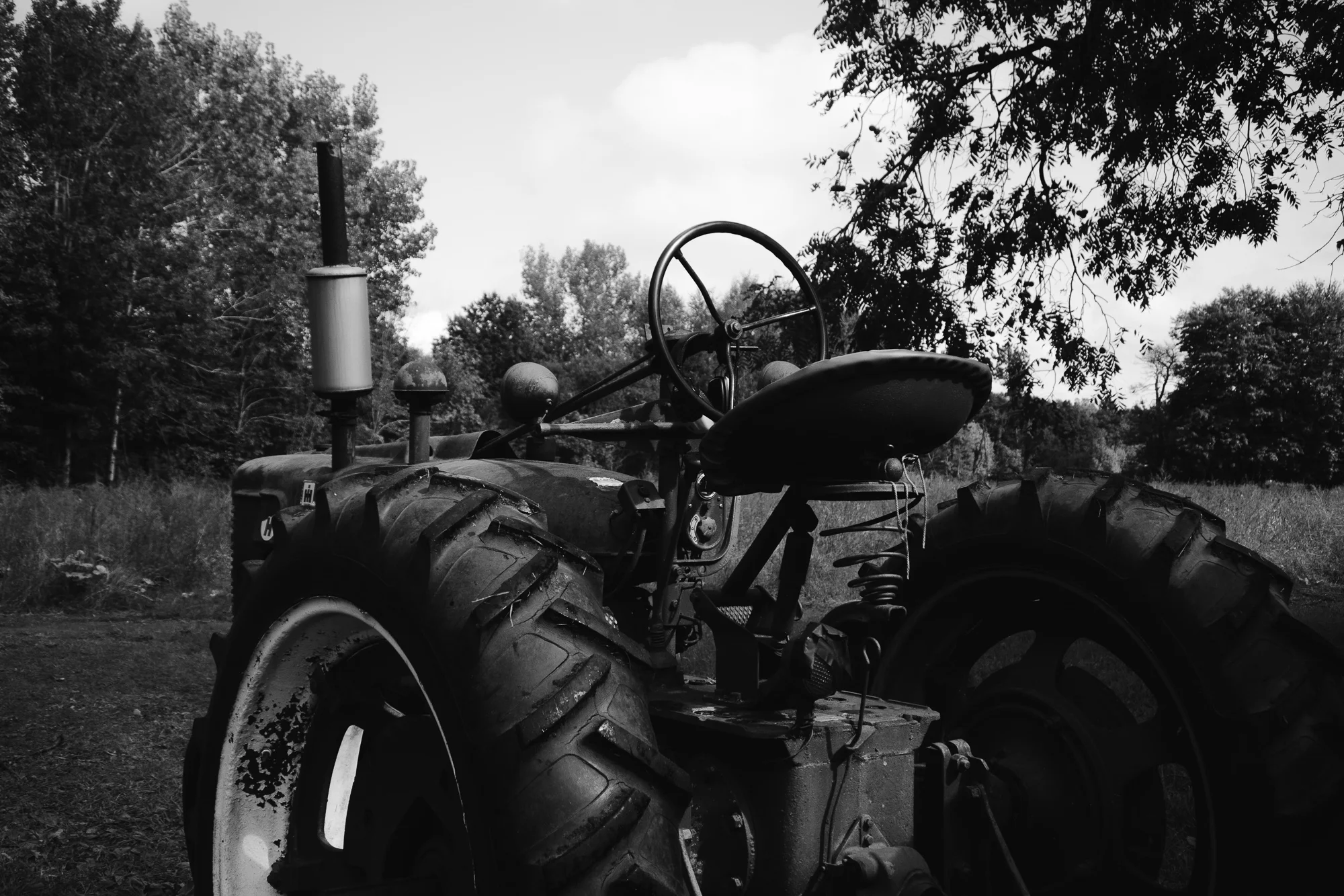 bethke-farms-pumpkin-patch-grand-haven-michigan (13).jpg