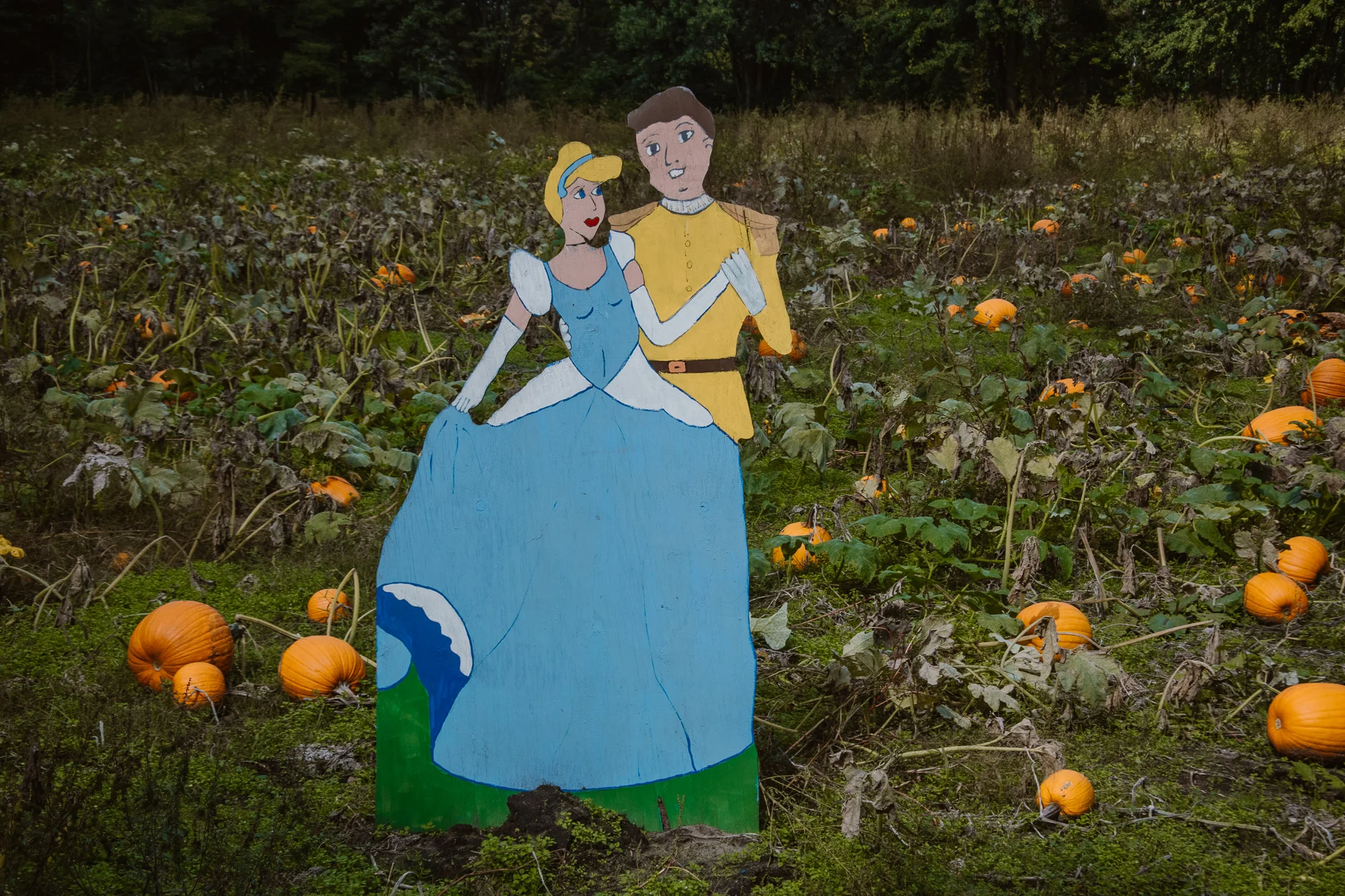 bethke-farms-pumpkin-patch-grand-haven-michigan (7).jpg