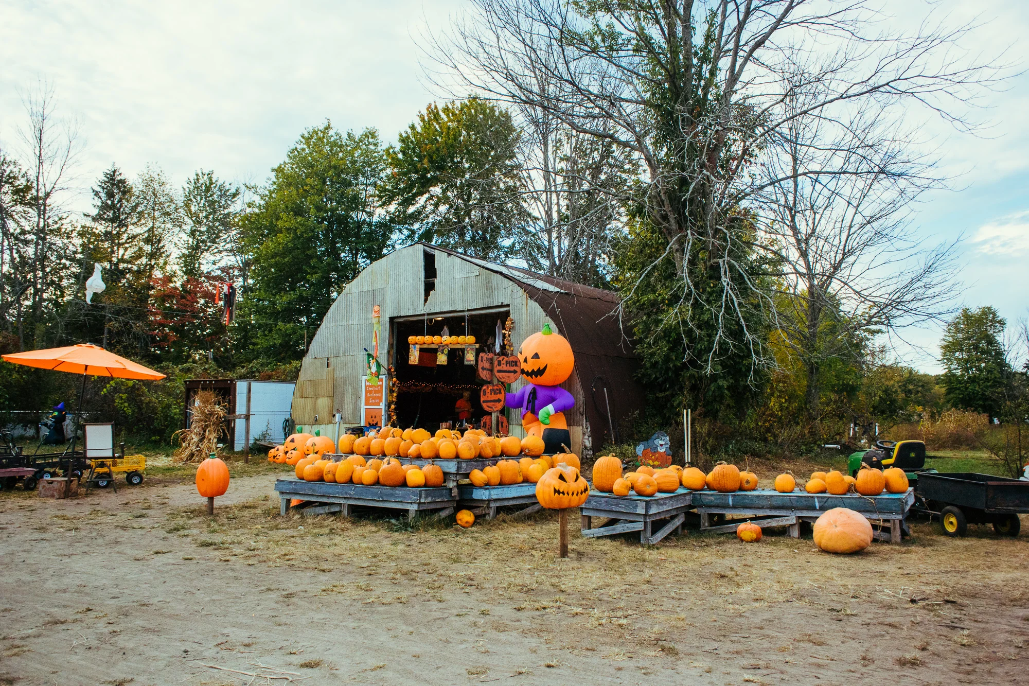 DSC_1849.jpg