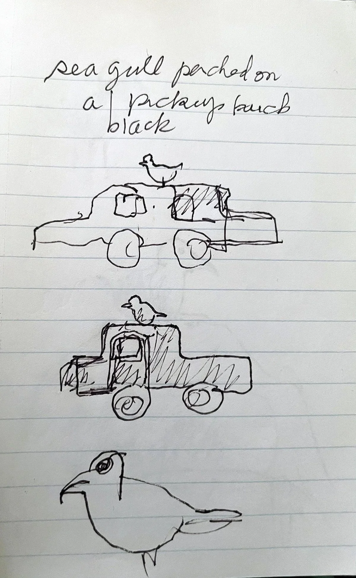 "Bird on Pickup Truck", pen on paper, 7 x 5 inches, 2020