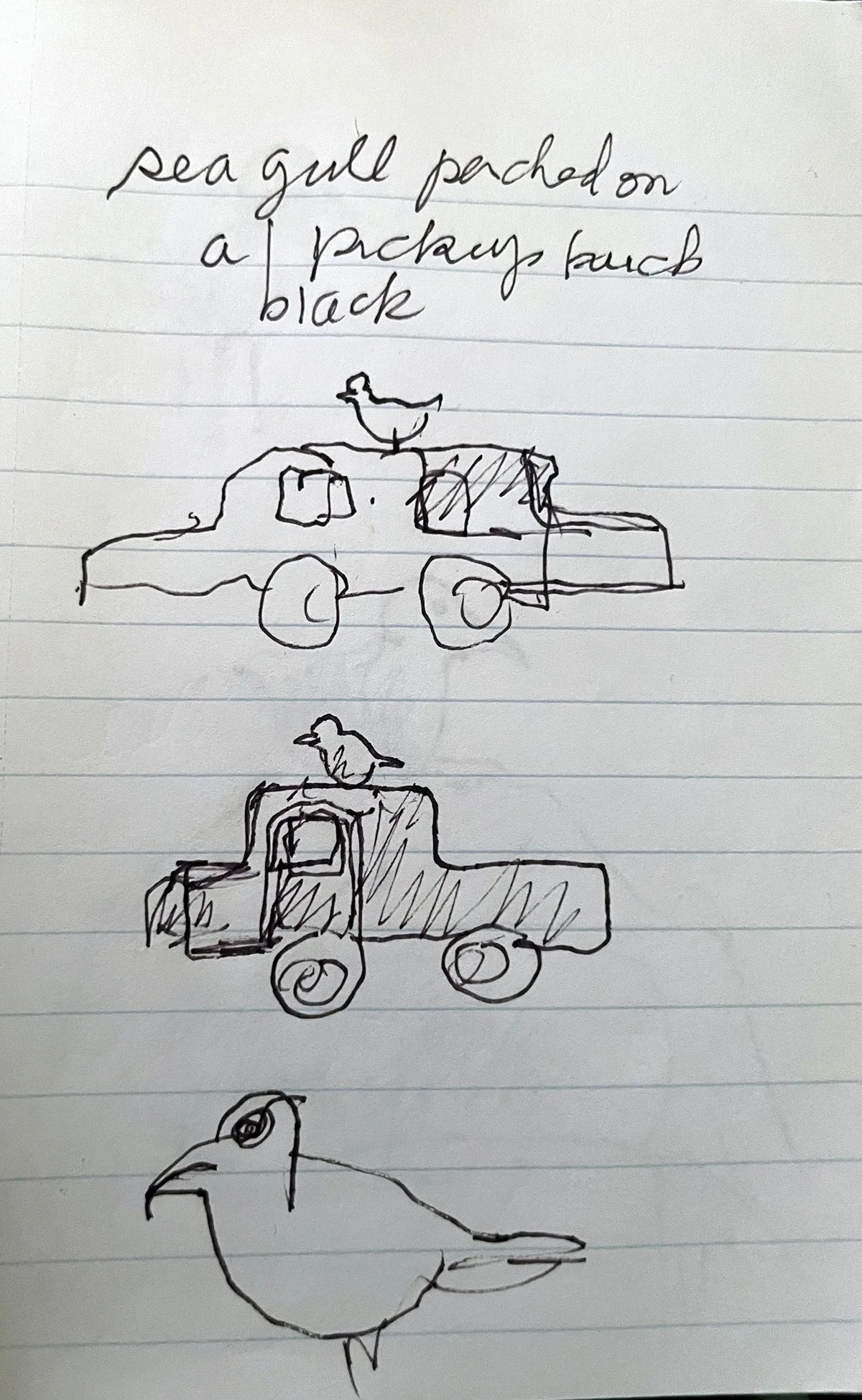 birdonpickuptruck.jpg