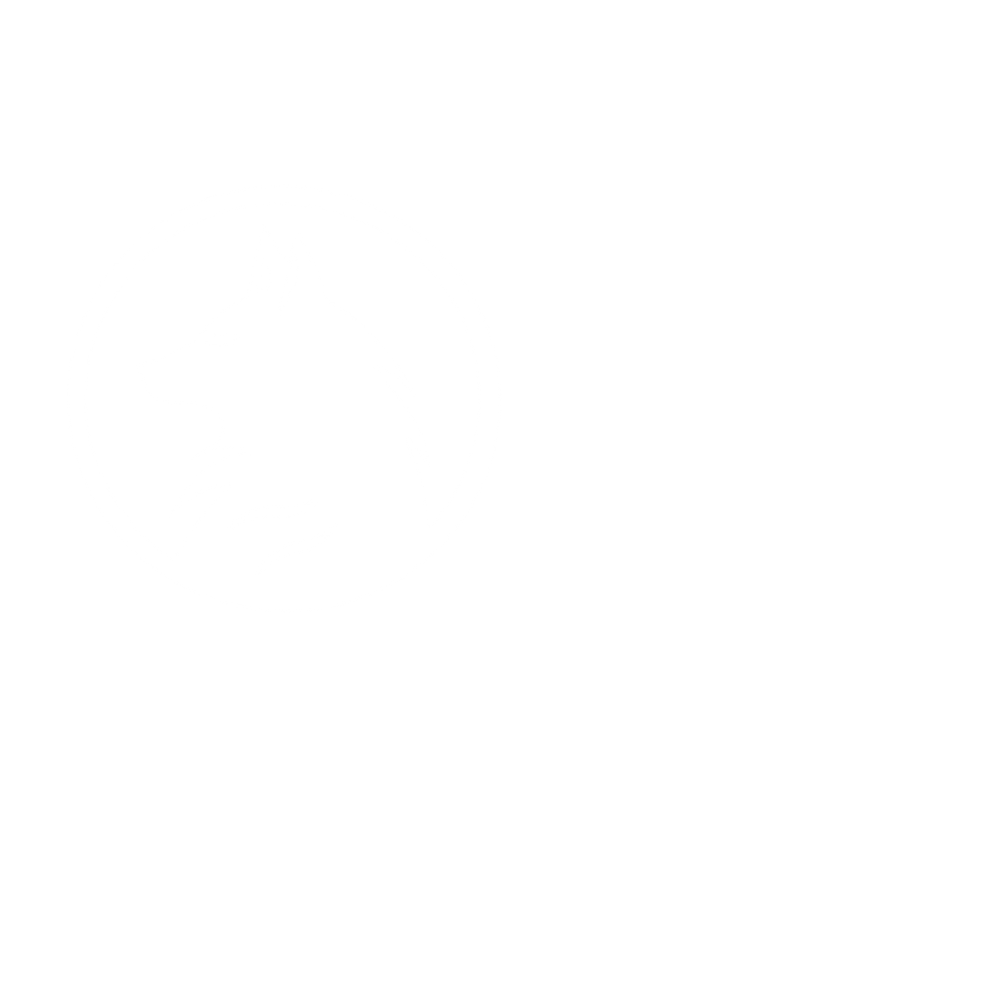 Shadow Side Films