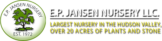 E.P. Jansen Nursery, Stoneyard