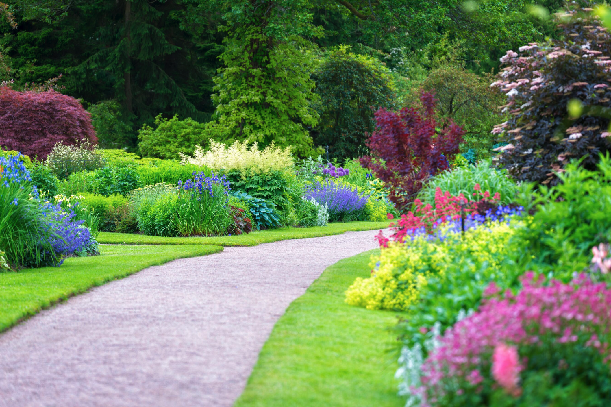 SHRUBS • TREES • PERENNIALS • ANNUALS