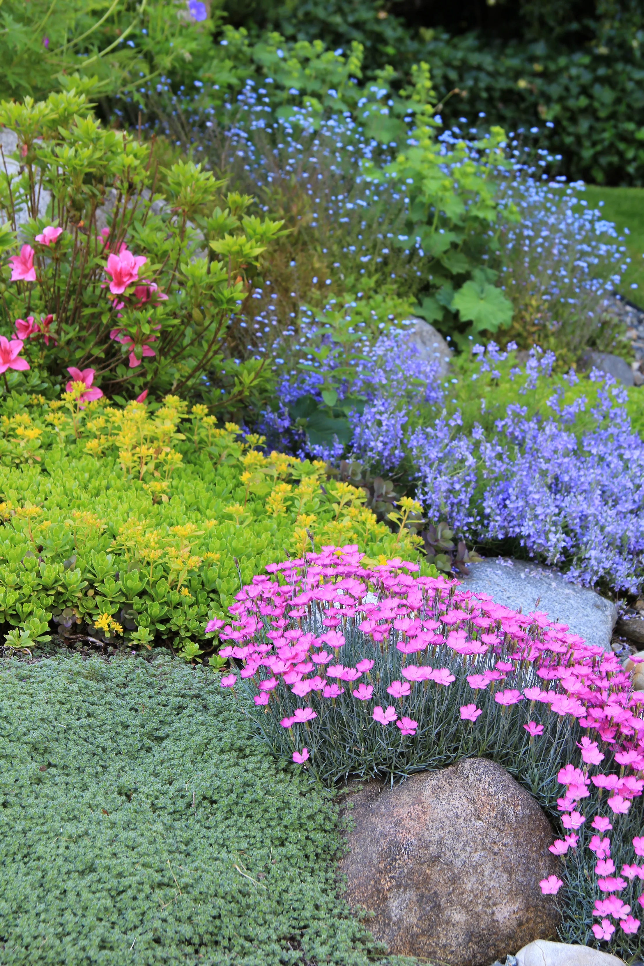 Spring-flowers-000019155768_Large.jpg