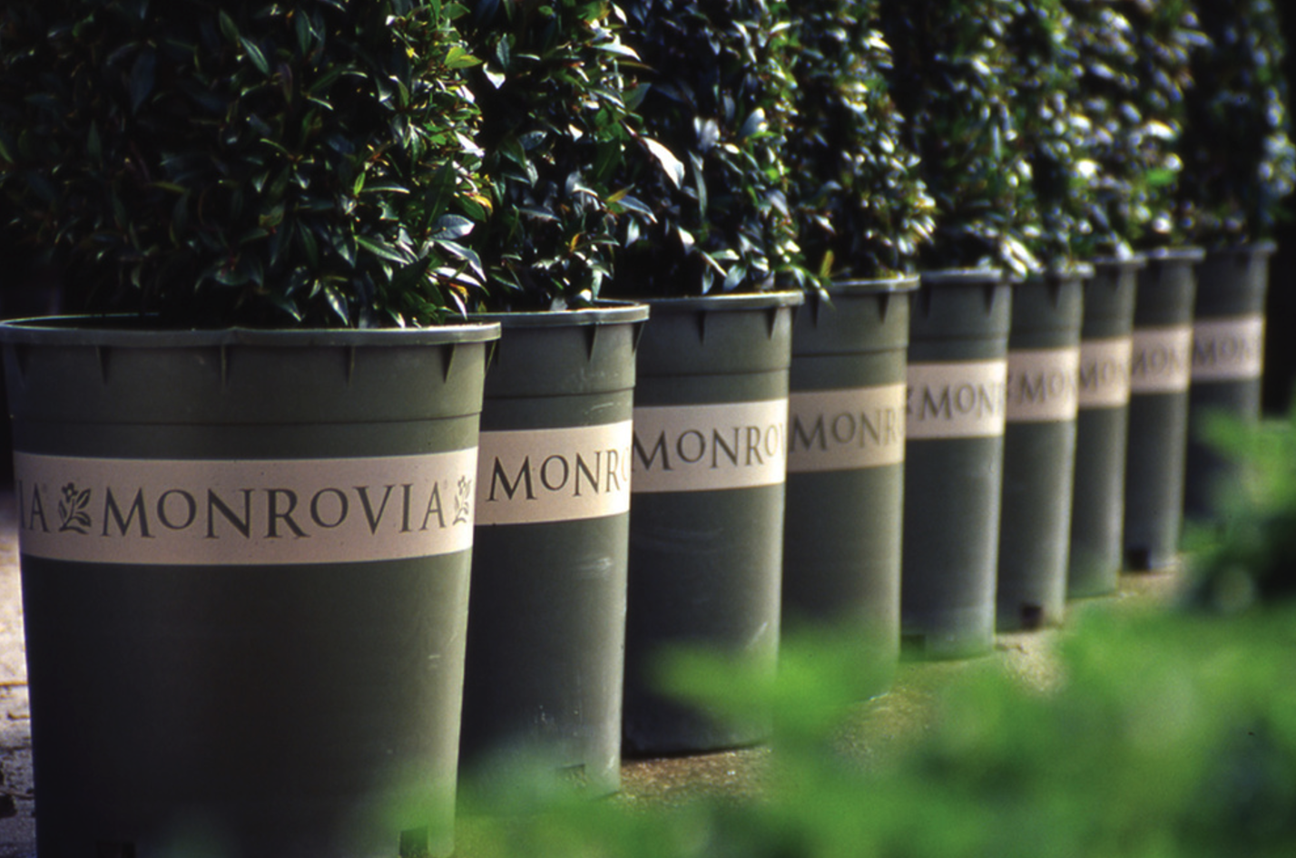 Wholesale Nursery, Garden Center Orange County, NY ...