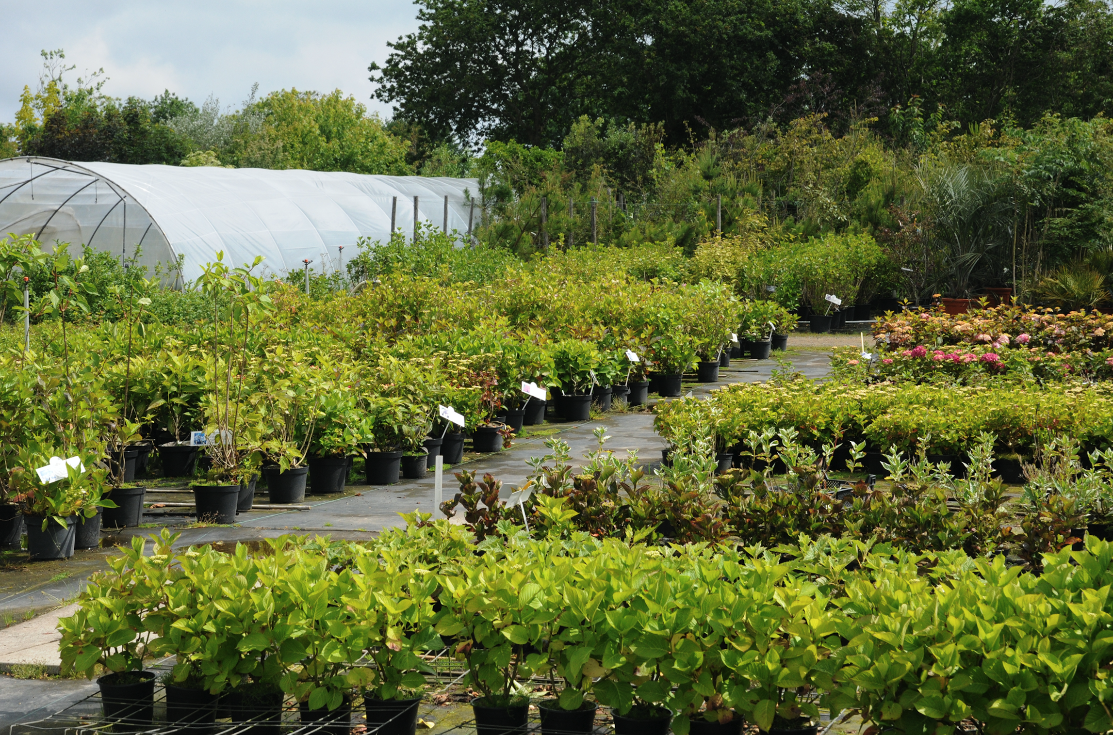 Best landscape nursery supply company in Rockland County, NY