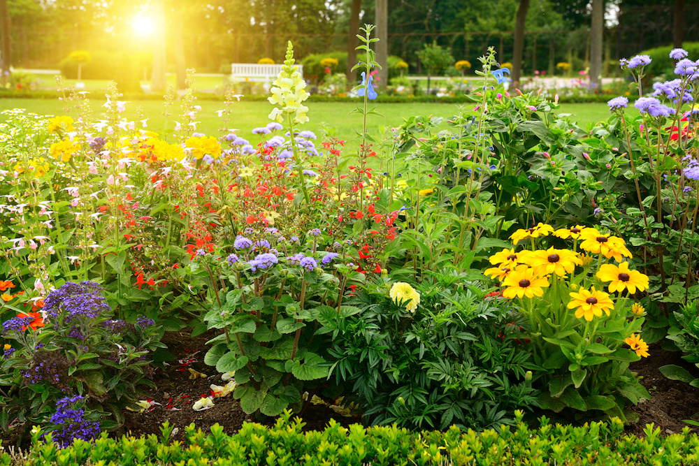Must-Have Flowers for Spring from Our Plant Nursery in Bergen County NJ