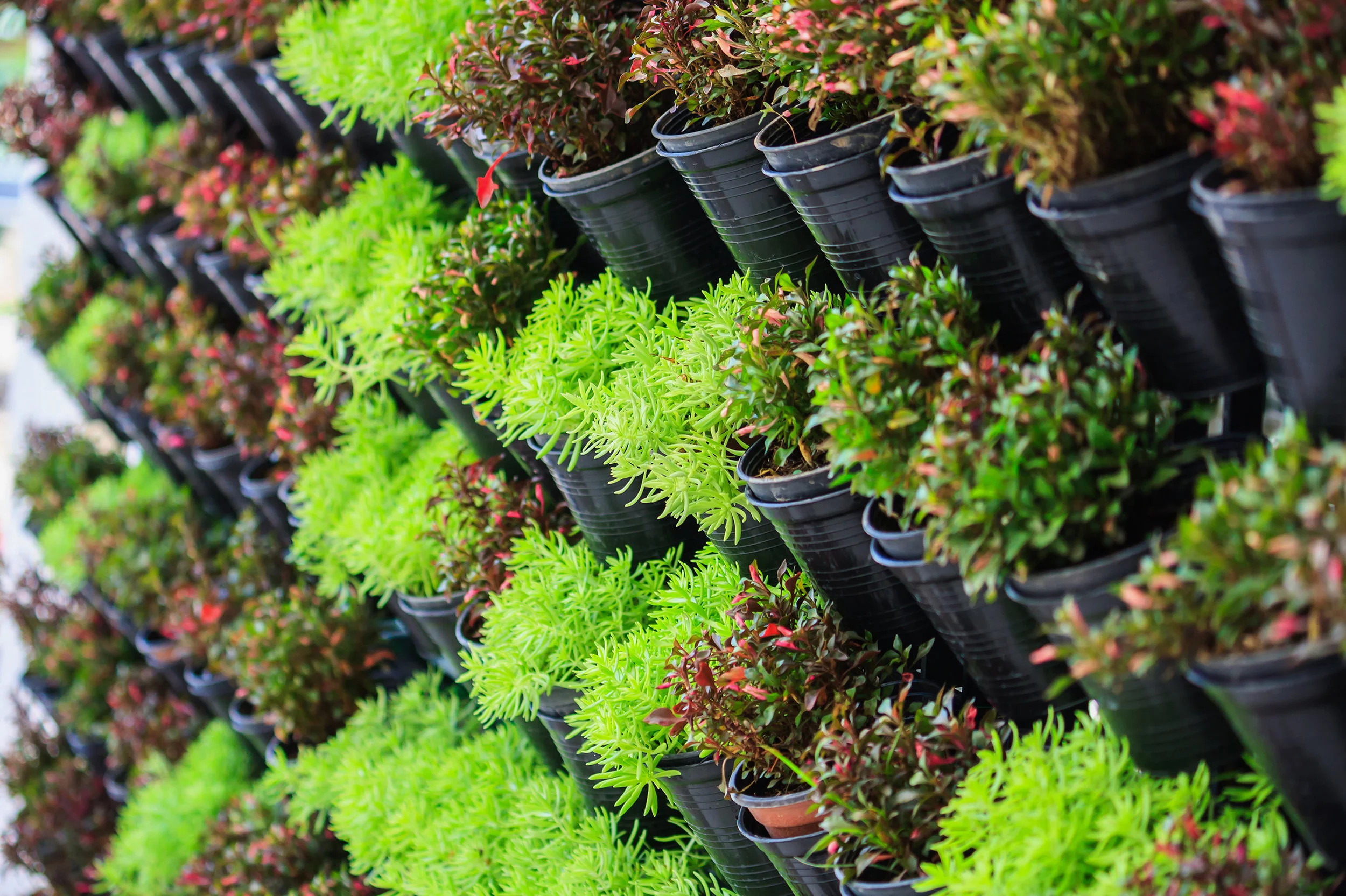 4 Essential Landscape Materials for Your Vertical Garden Project in Sullivan County, NY