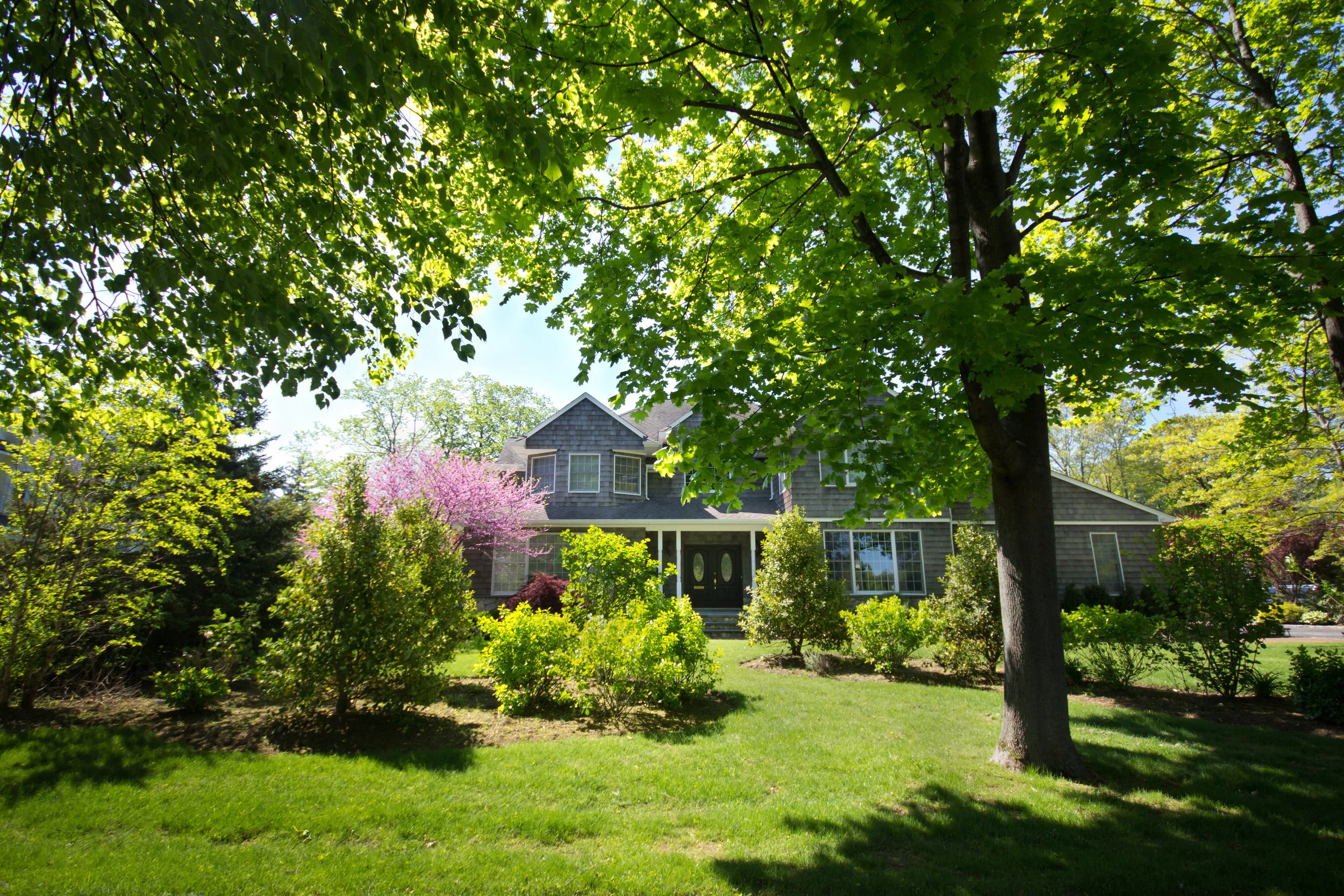 5 Fast-Growing Shade Trees from Our Wholesale Nursery in the Ulster County, NY, Area
