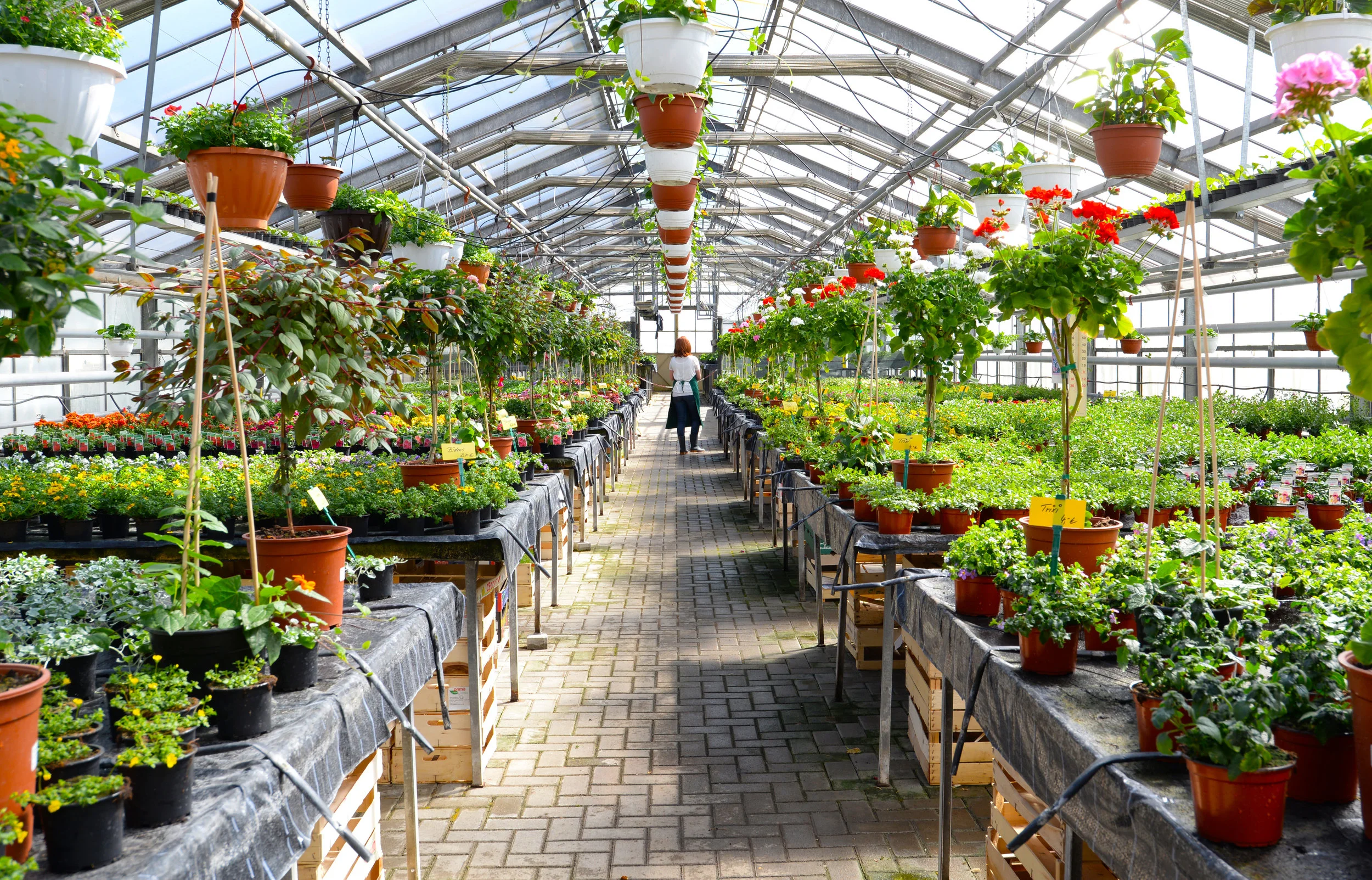 Our Garden Center’s Favorite Plants for Your Customers in Hudson Valley, NY