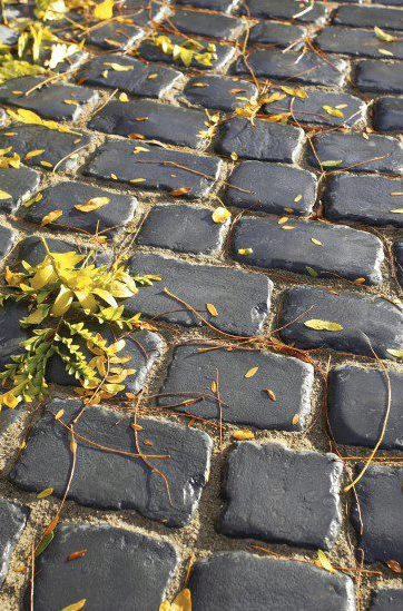 5 Common Issues Bergen County, NJ, Contractors Face with Paving Stones