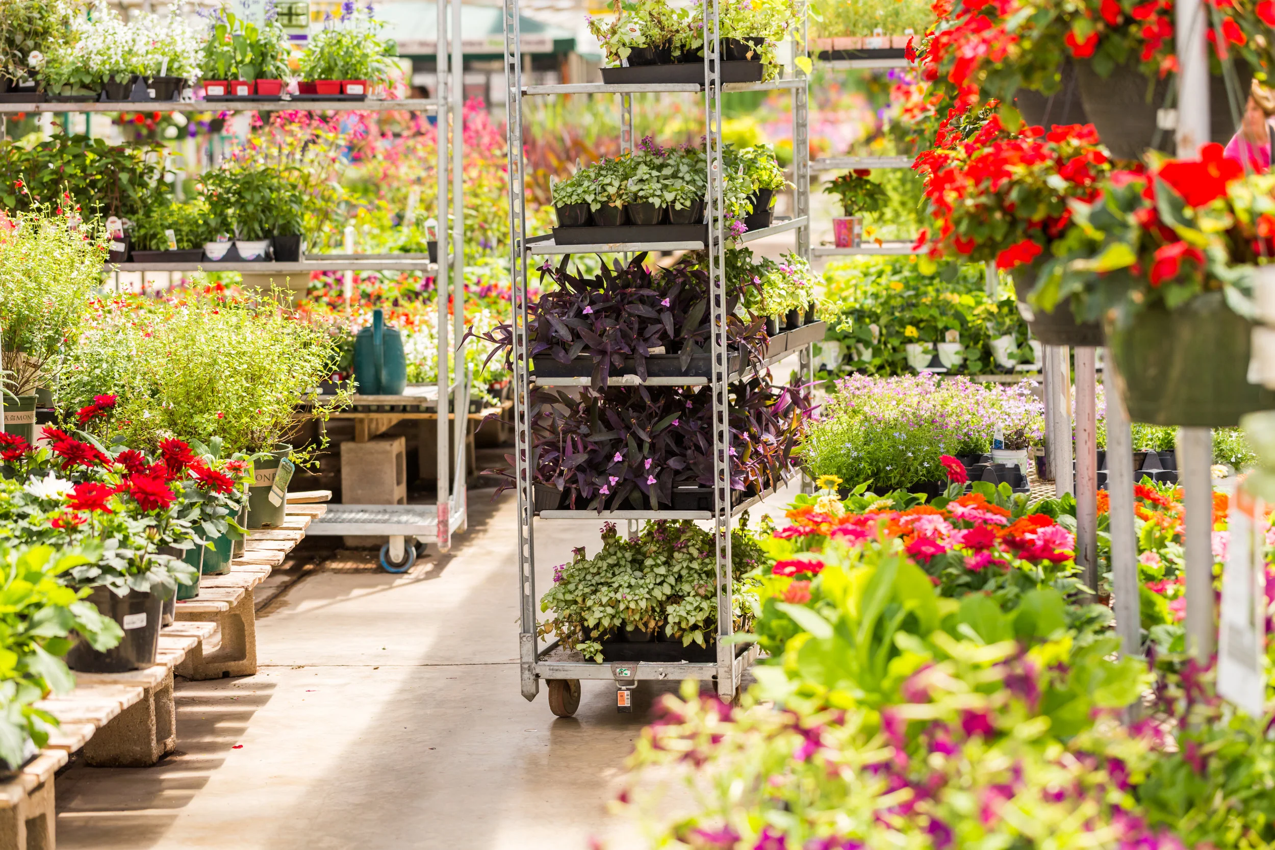 Benefits of Getting All of Your Landscape Supplies at a Wholesale Nursery in Sussex County, NJ