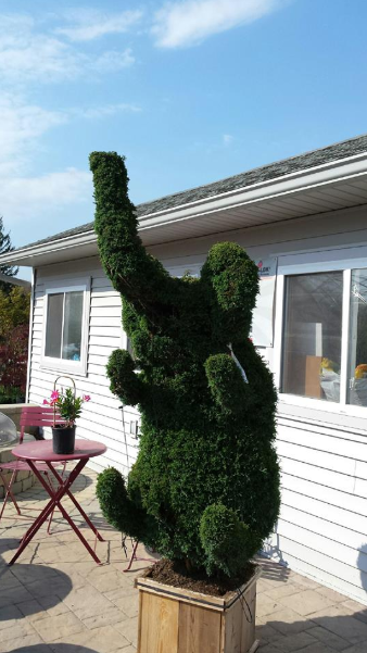 3 Questions to Ask Your Landscape Supply About Their Topiaries in Rockland County, NY