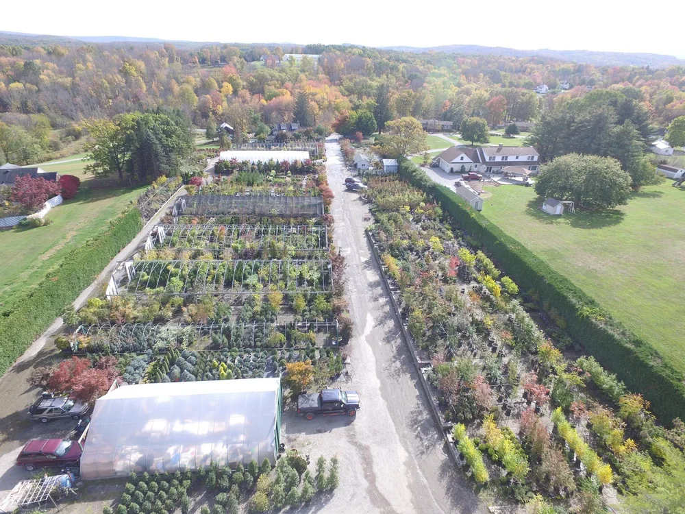 What to Look for in Our Plant Nursery in the Late Fall in Sullivan County and Hudson Valley NY