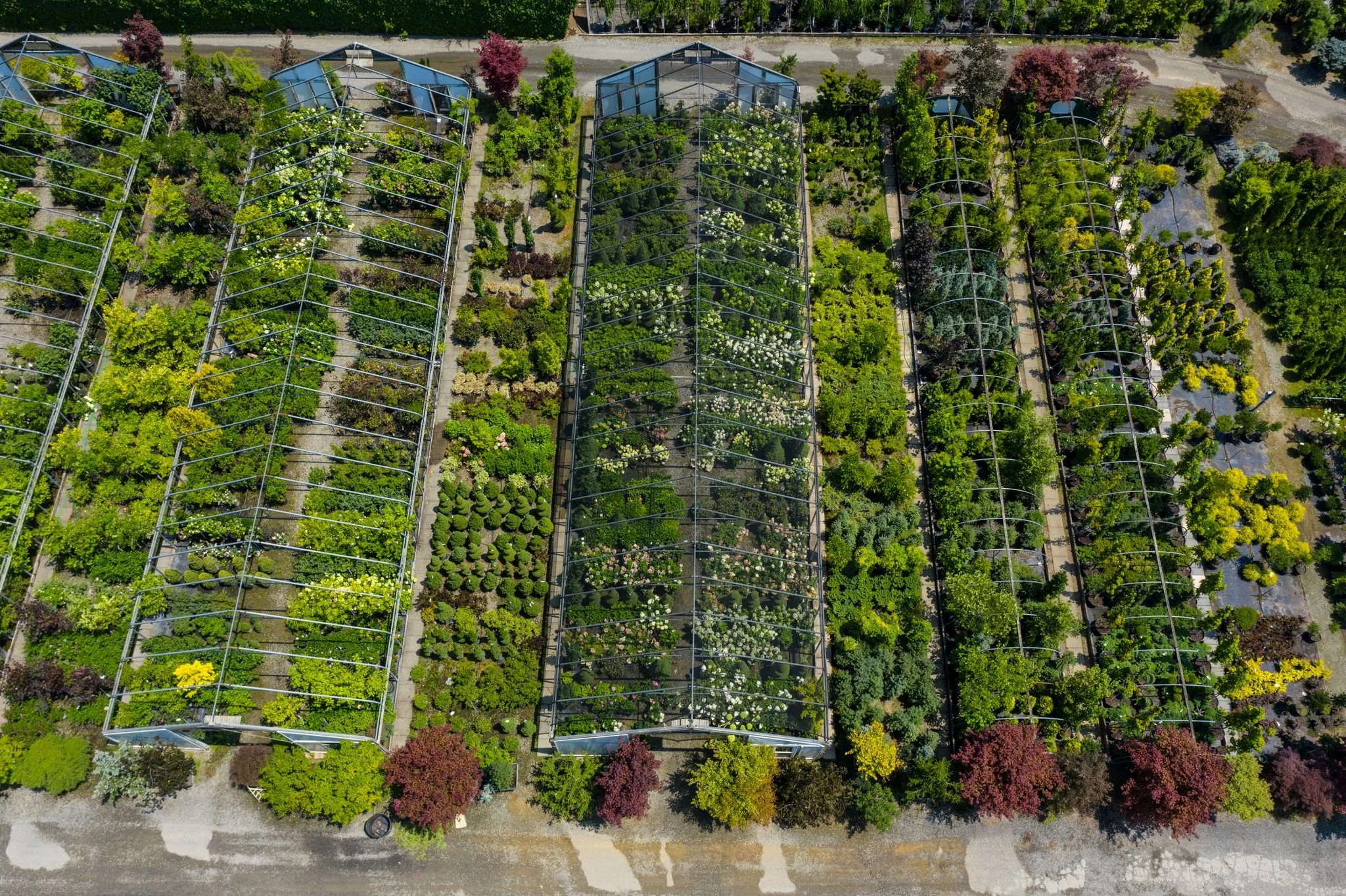 Fall Is Around the Corner! 11 Seasonal Plant Options You Can Find at a Plant Nursery in Orange County, NY Area