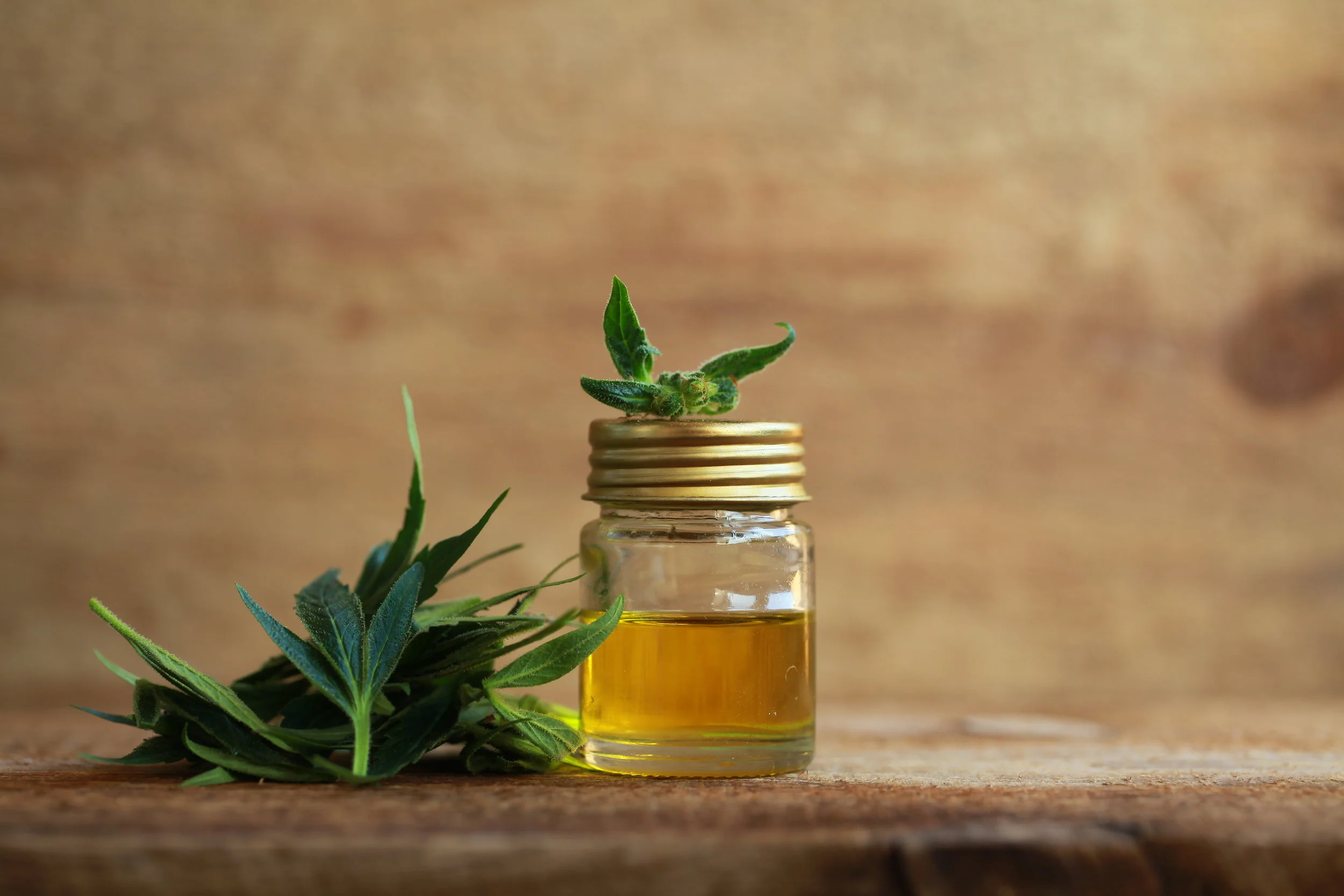 cbd oil jar.jpg