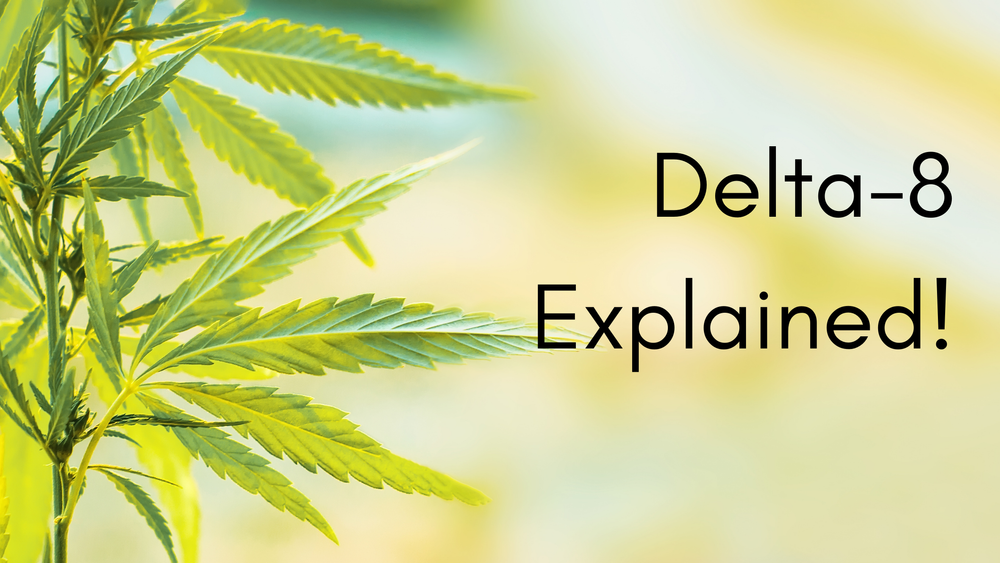 Delta8 Explained Wild Ginger Apothecary Sarasota — Wild Ginger