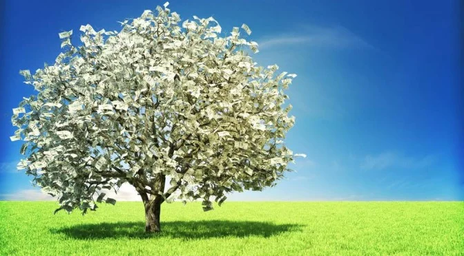 MoneyTree5-672x372.jpg