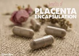 placenta caps.jpeg