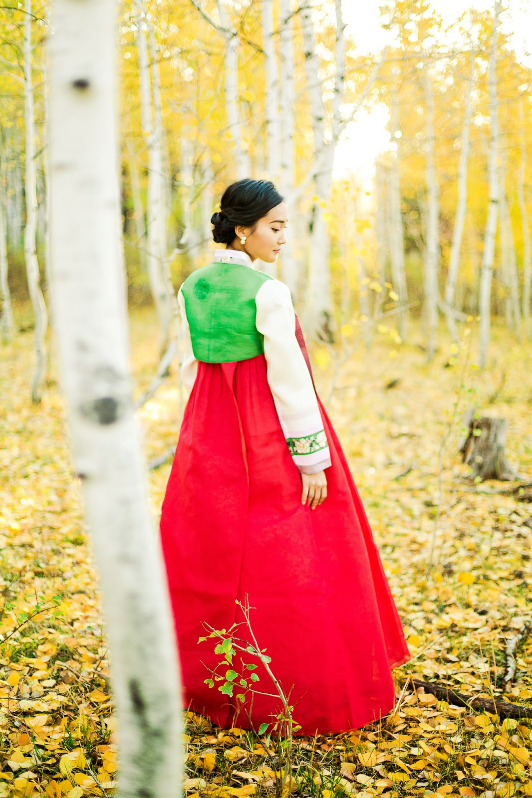 american_hanbok_photography_005.jpg