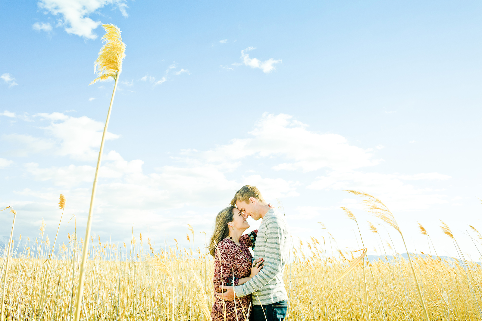 yellow_grass_field_photo_shoot_012.jpg