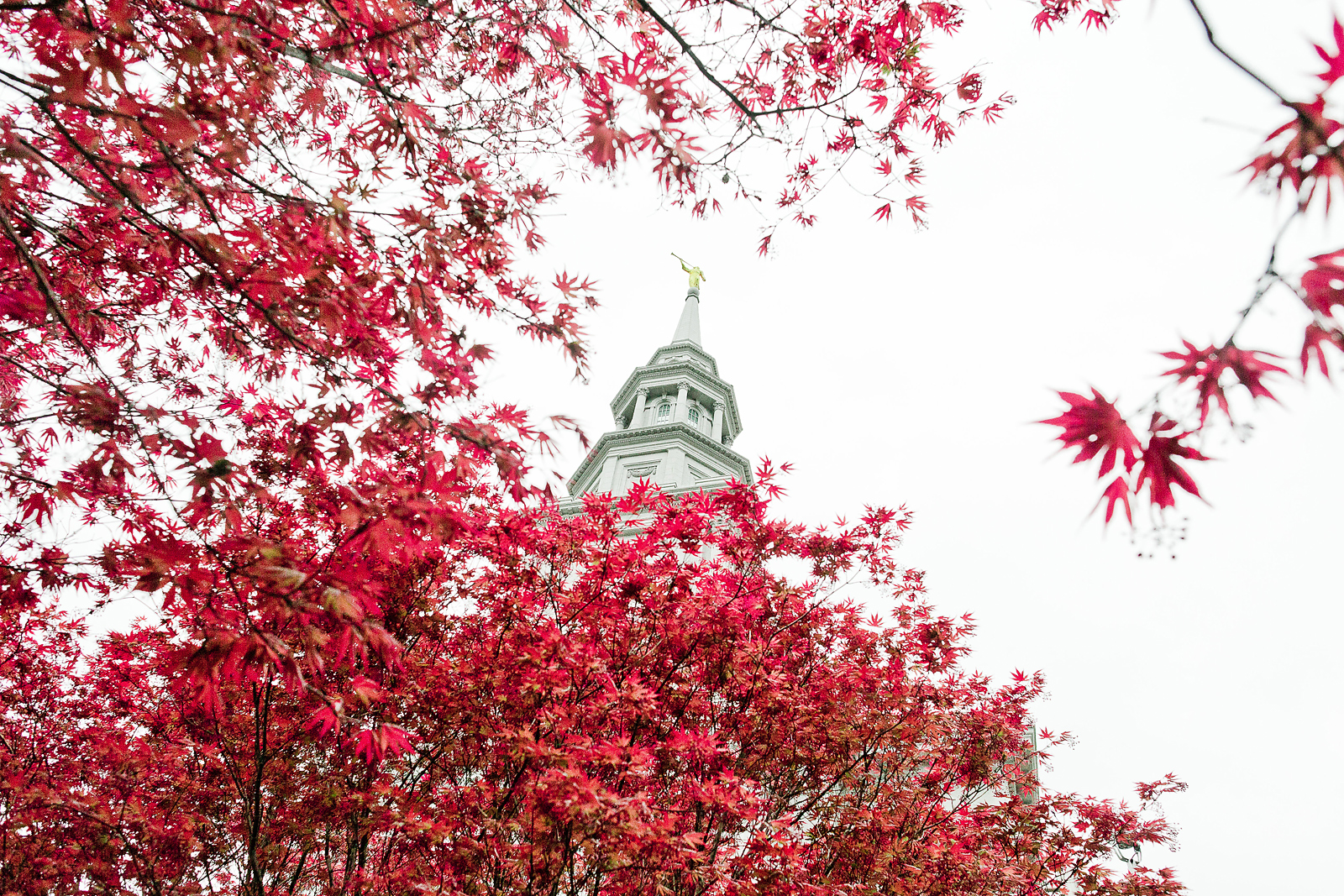 lds_philadelphia_temple_wedding_photography_021.jpg