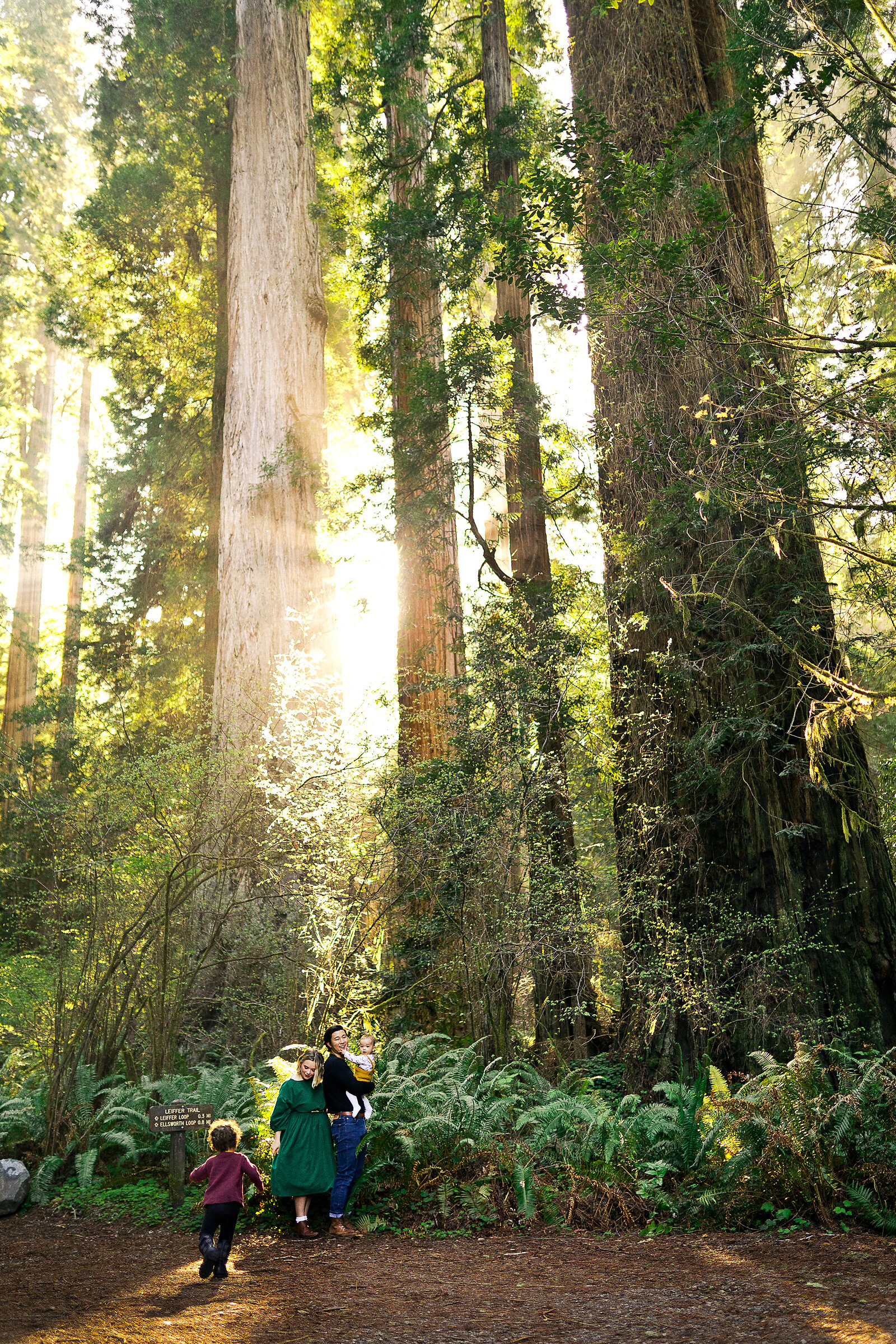 redwood_national_park_family_photographer_003.jpg