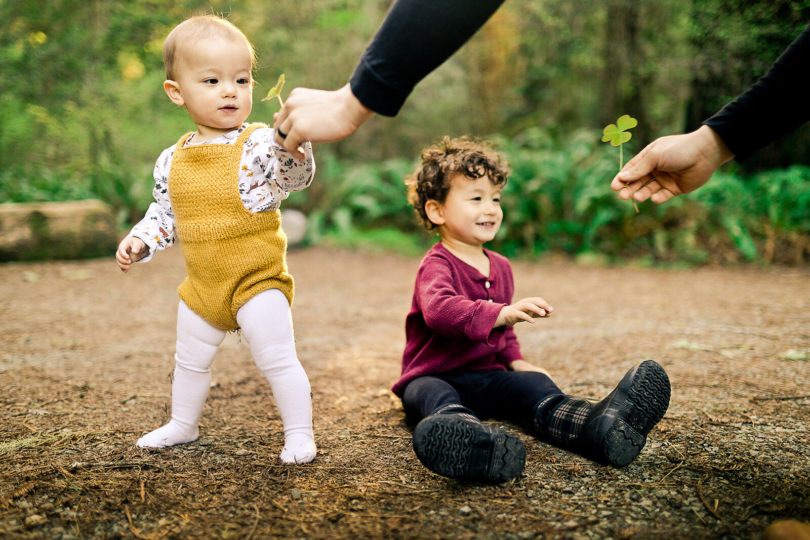 redwood_national_park_family_photographer_010.jpg