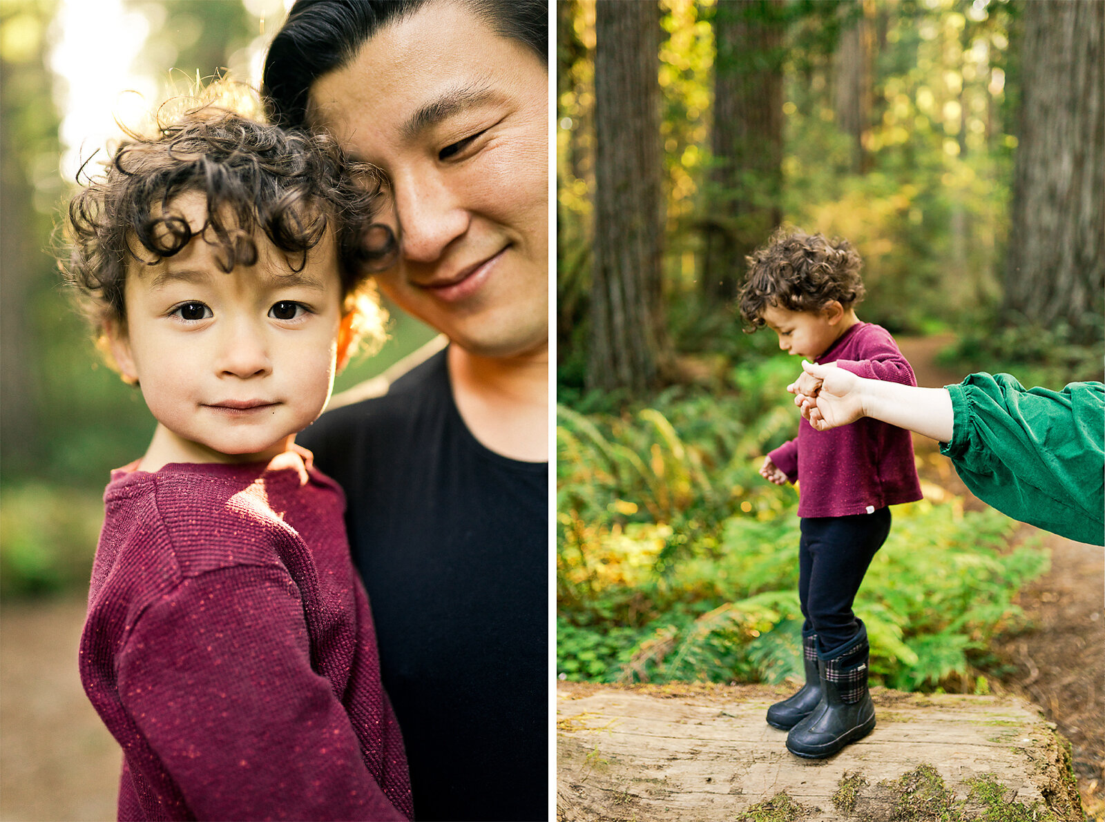 redwood_national_park_family_photographer_011.jpg