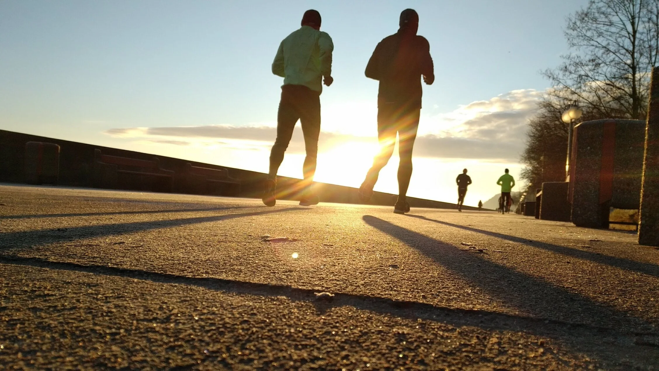 Questions Answered: Running Analysis