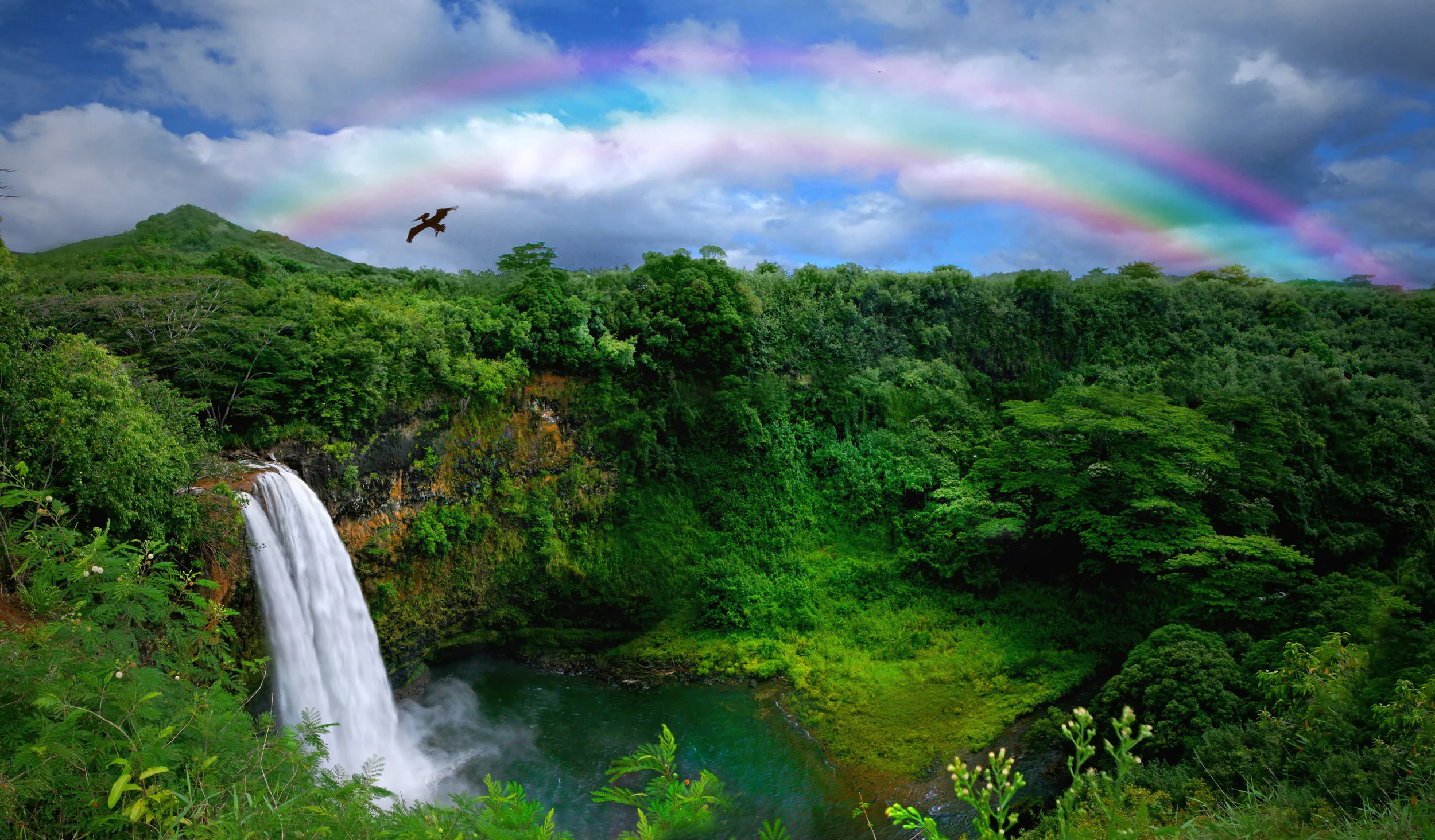 Photo by tobkatrina/iStock / Getty Images