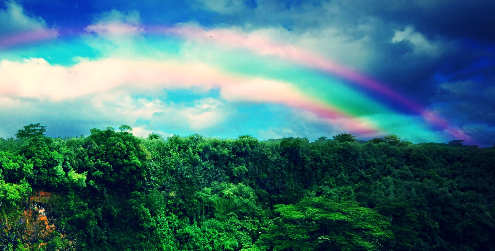 Photo by tobkatrina/iStock / Getty Images