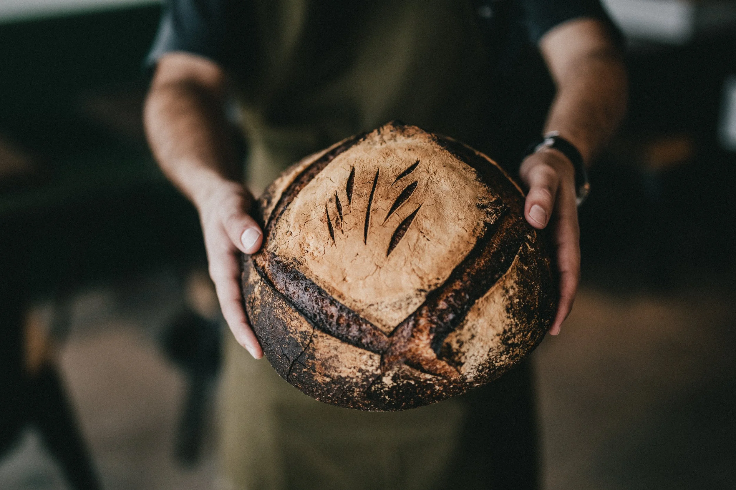 Photo by Daniel Spase on Unsplash | HAVE YOU THANKED GOD TODAY? FIND THE JOURNEY: A NEW GENERATION CHURCH OF CHRIST