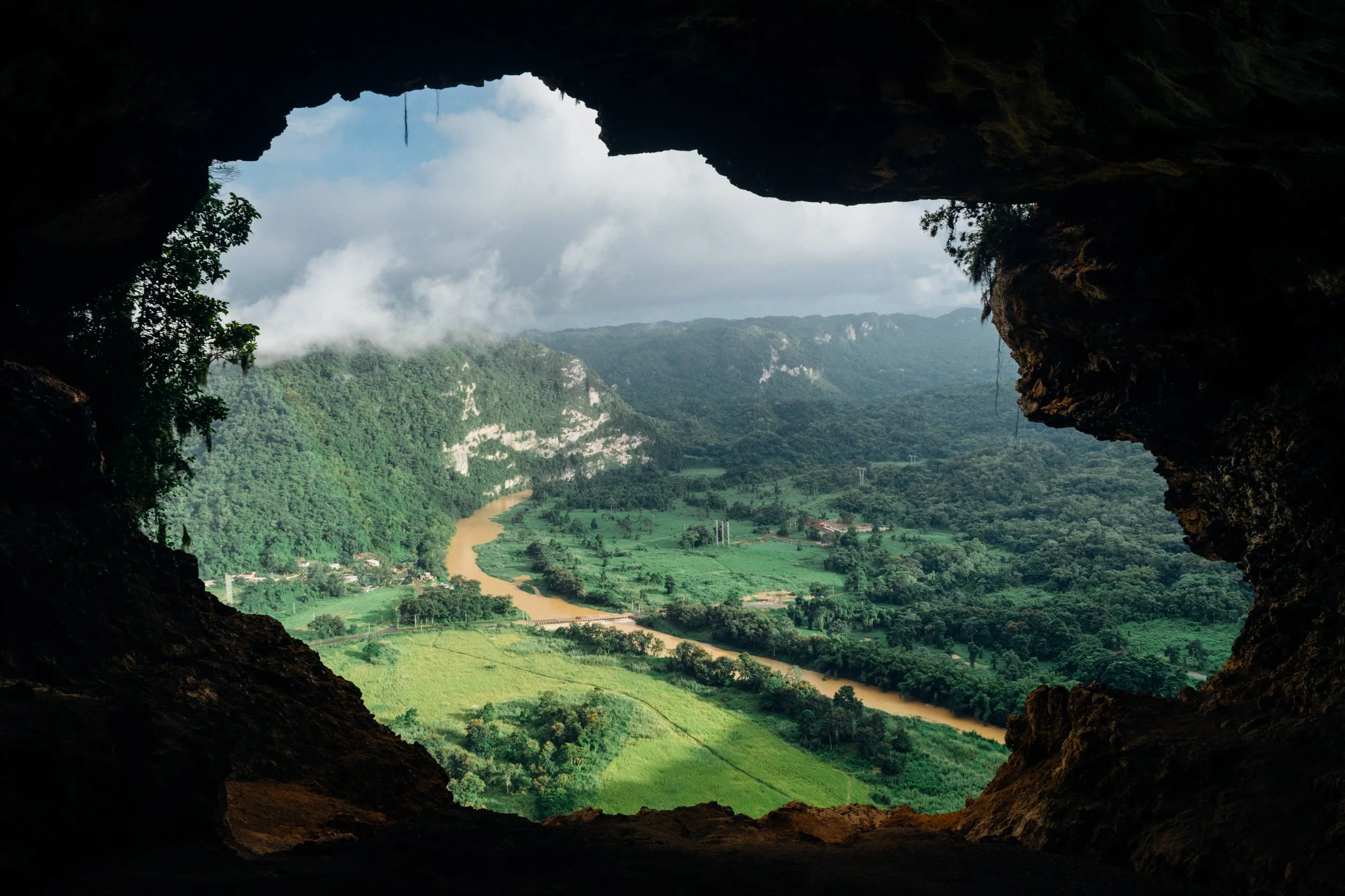 Photo by Jose Murillo on Unsplash | Do you wonder sometimes when to be loyal or make a break with family, church, political leanings, business partner?