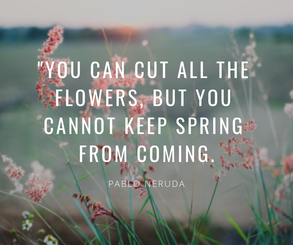 Photo by Peter Bravo de los Rios on Unsplash