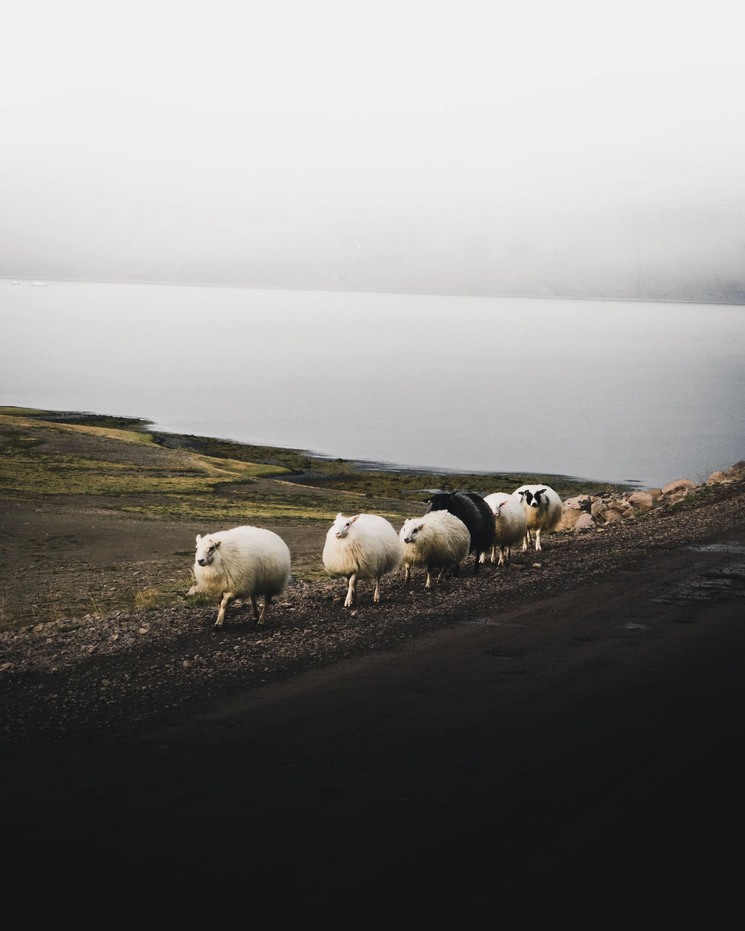 luke-stackpoole-586834-unsplash.jpg