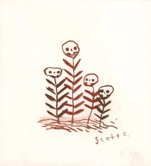 ScottC-foliagebadlands.jpg