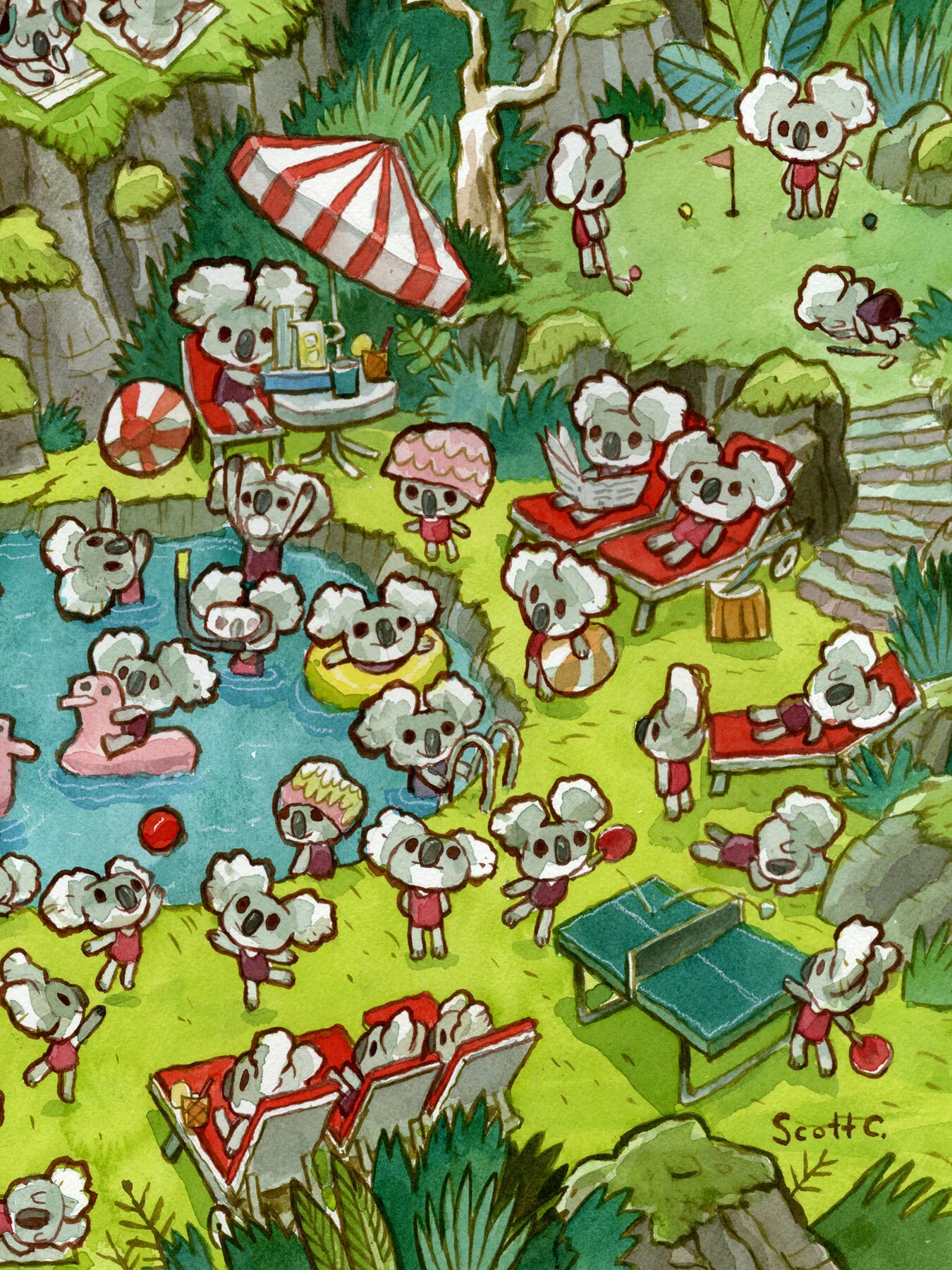 KoalaPoolParty3.jpg