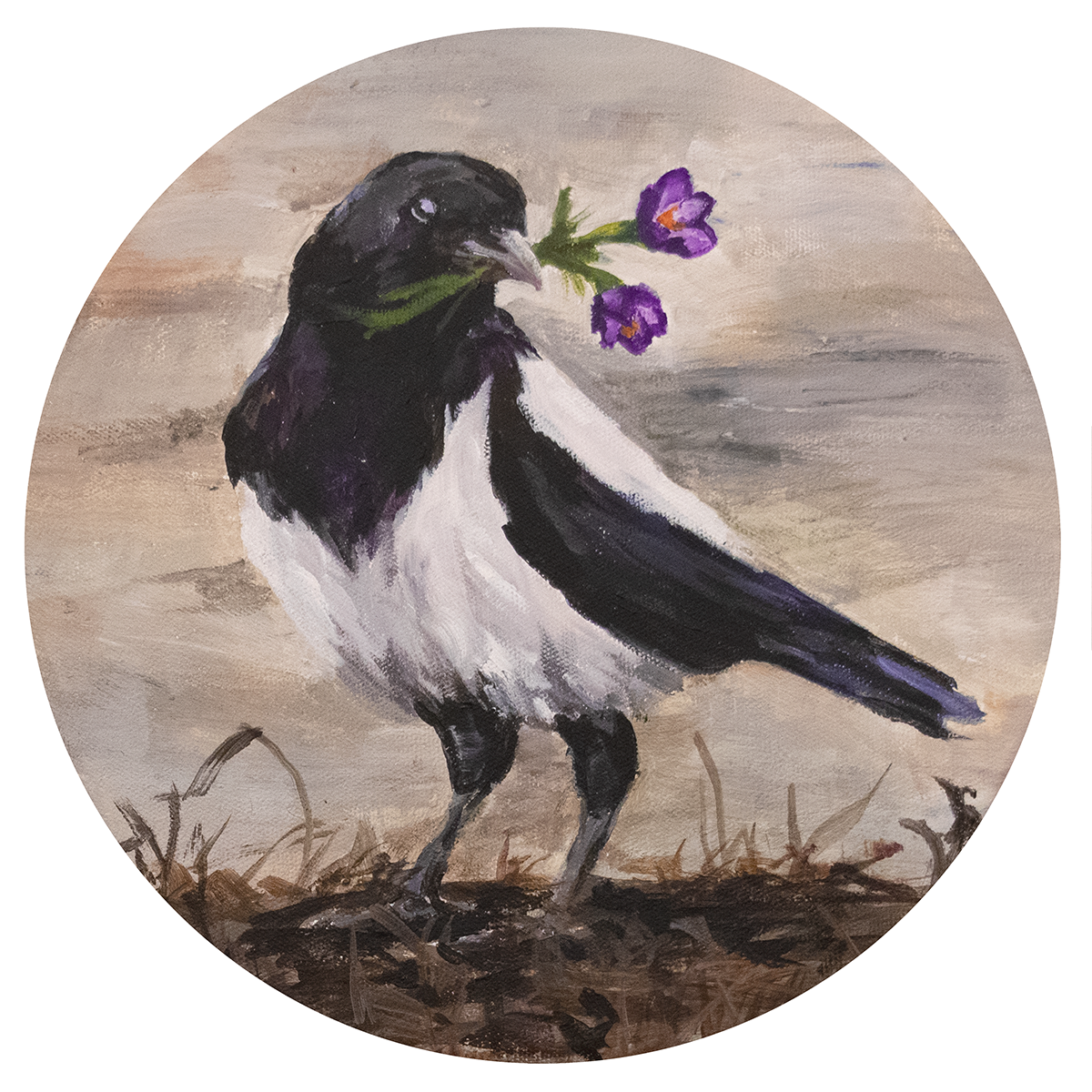 Magpie Circle.png