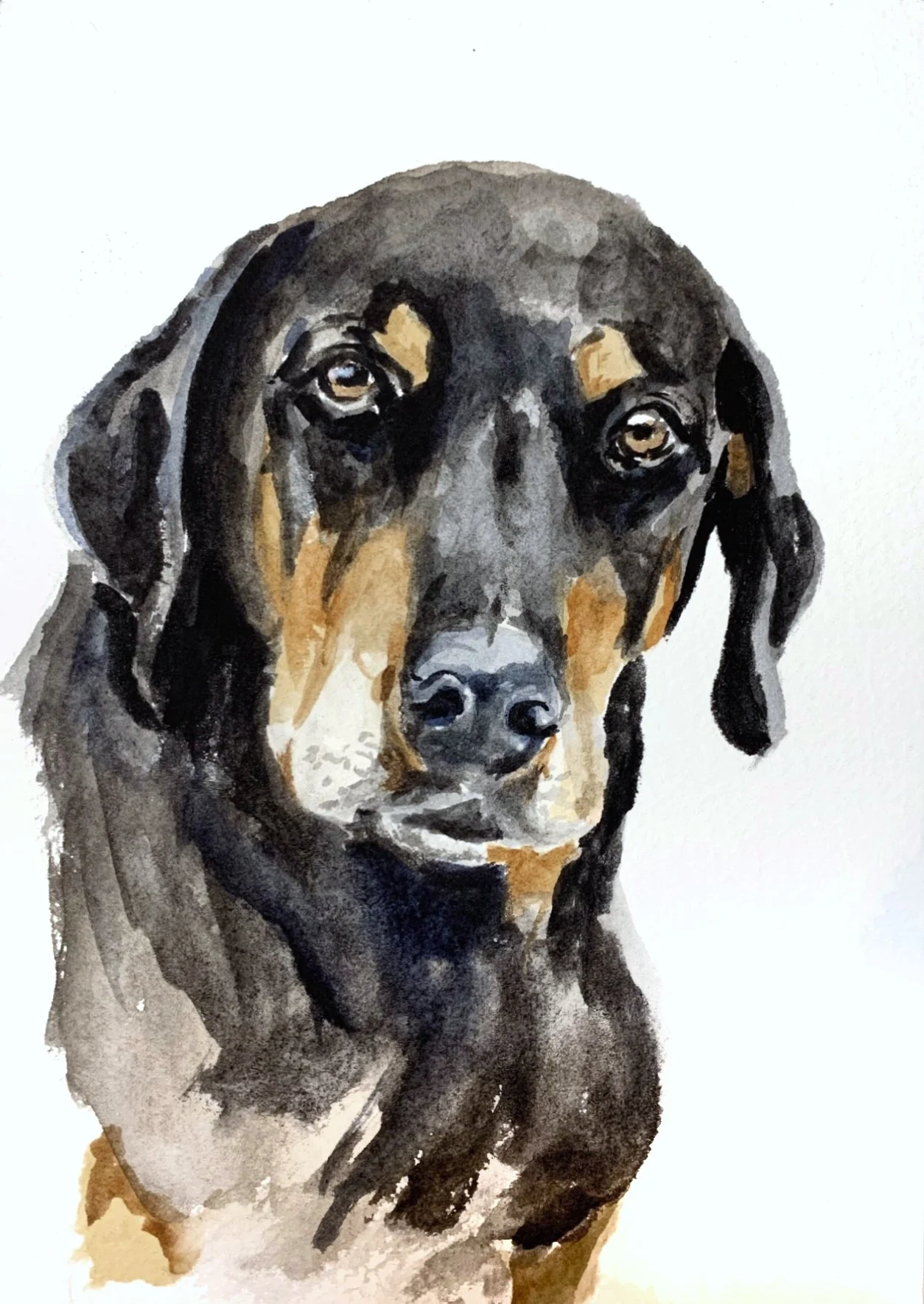 Watercolor painting of a black and brown dog with soulful eyes, looking directly at the viewer.
