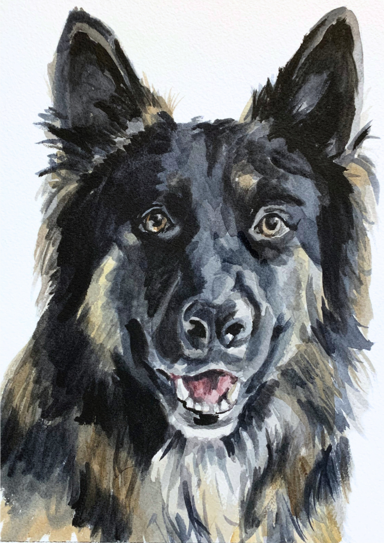 Watercolor painting of a black and brown dog with pointed ears and a friendly expression.