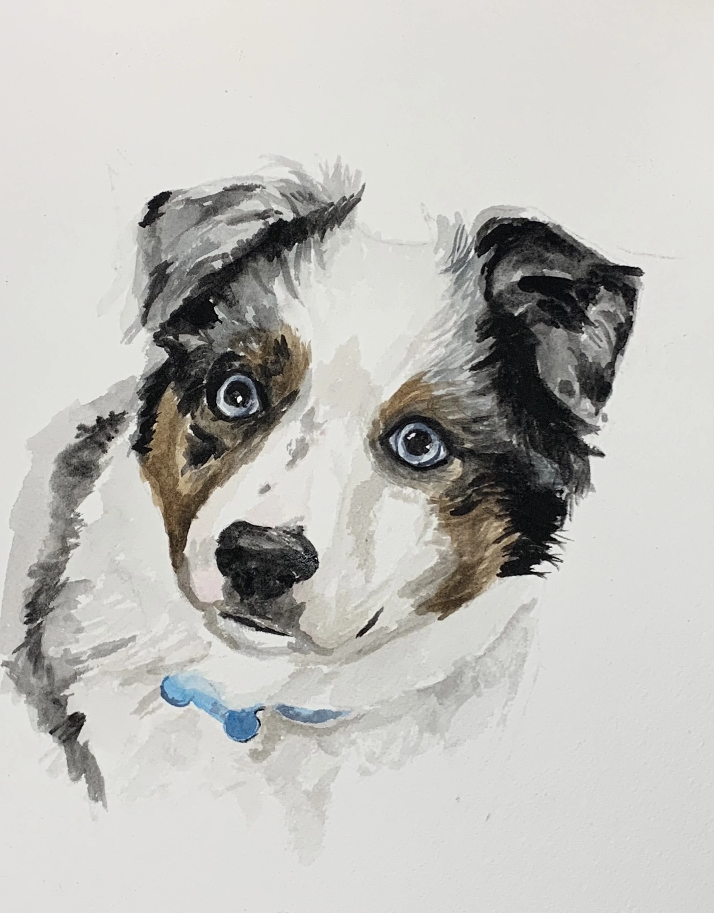 Painted portrait of a dog with blue eyes, black nose, brown and white fur, and a blue collar.
